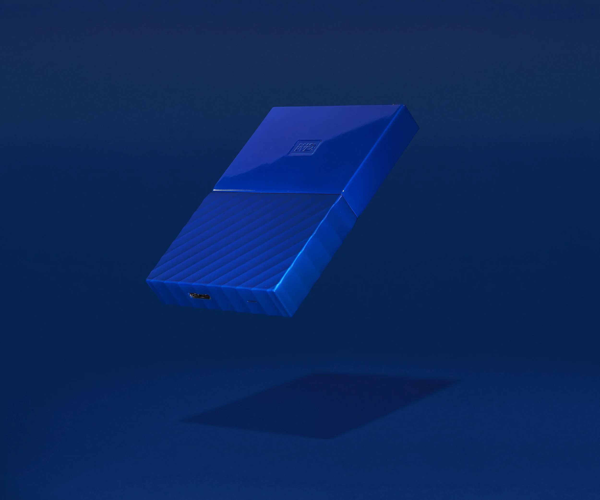 MYPSSPRTWRLSSPRO - BLue-001a.jpg