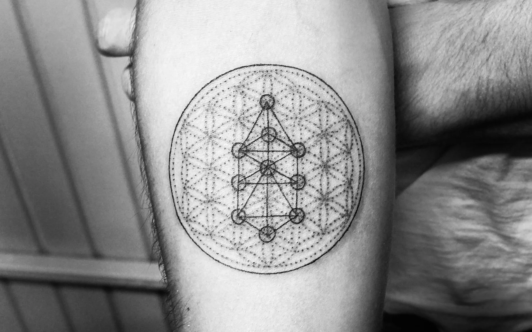 tattss.jpg