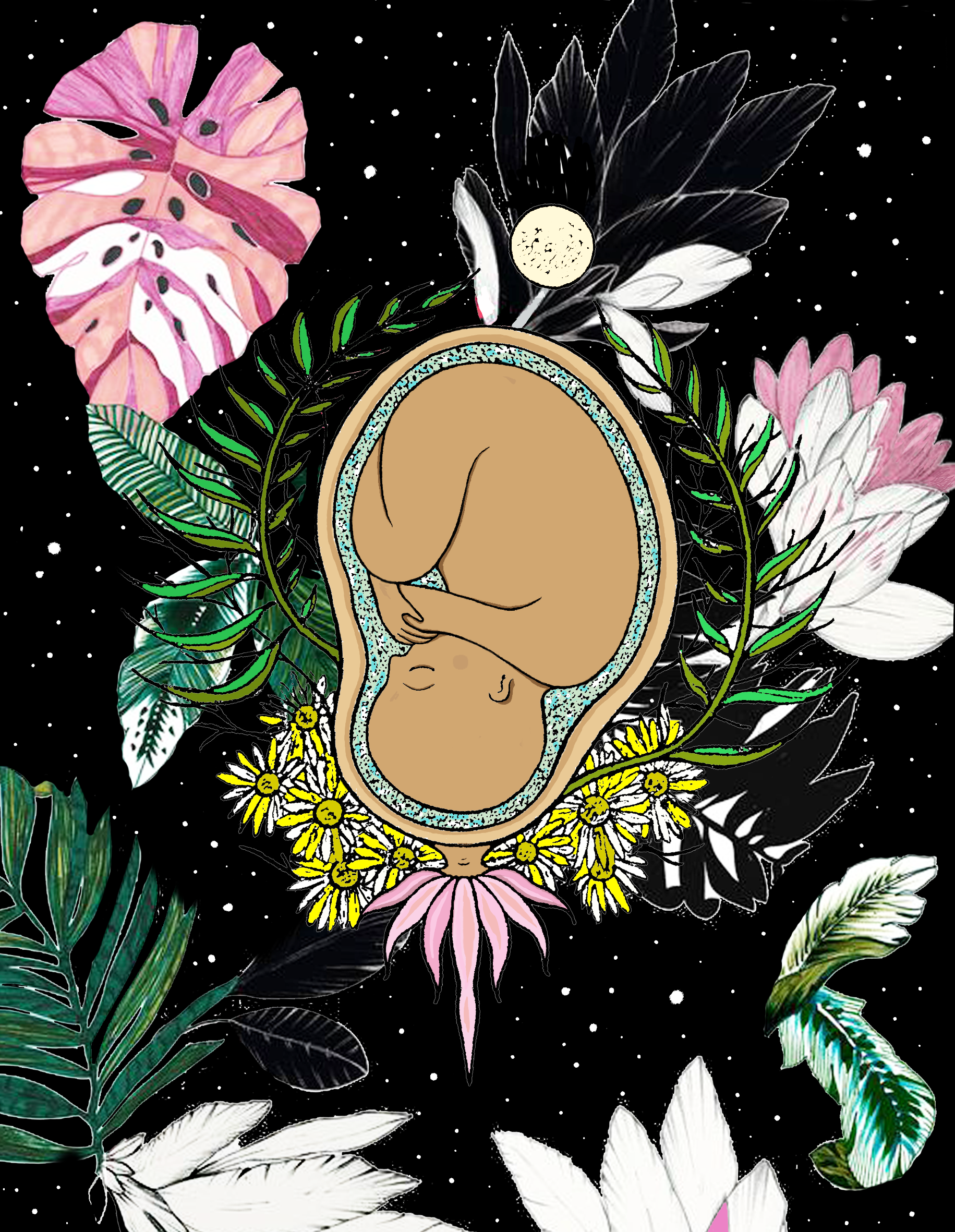 mae natureza-.png