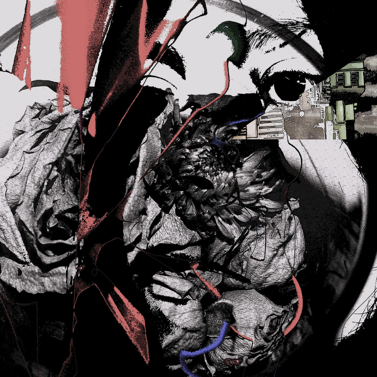 0eabf748-4cc1-4d25-9667-038c8d41d0a5.1280x1280.jpg