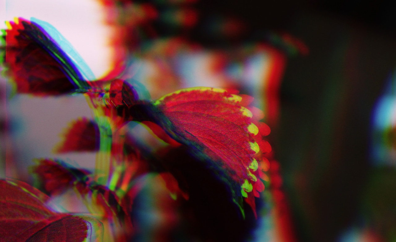 1a21844f-e8e9-4bf3-925a-a3ebb739ead0.1280x1280.jpg