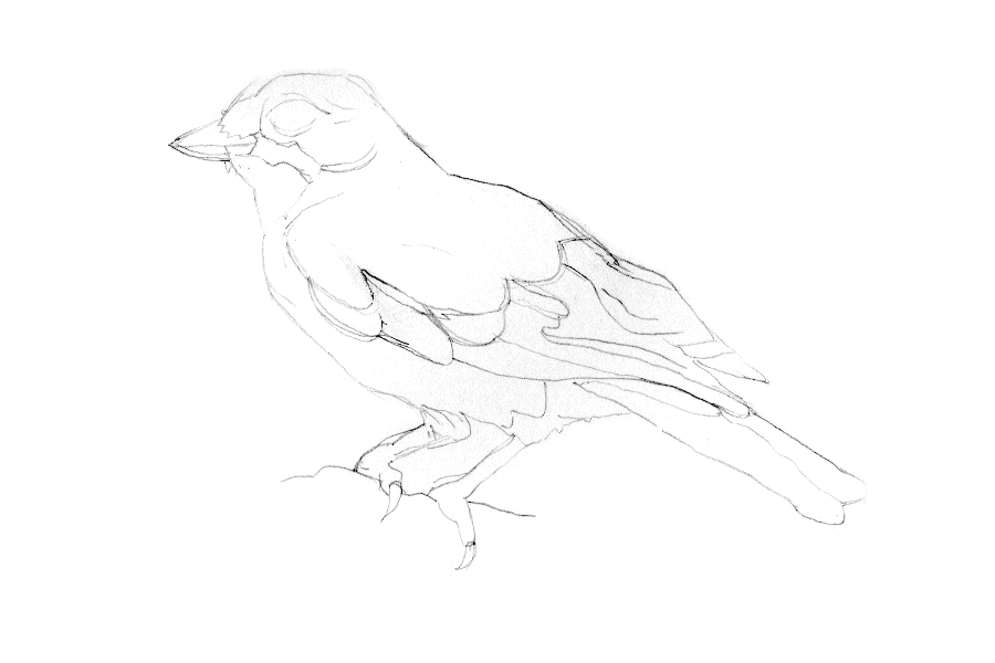 _Process.gif