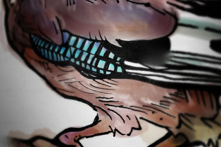 Jay_closeup1.jpg