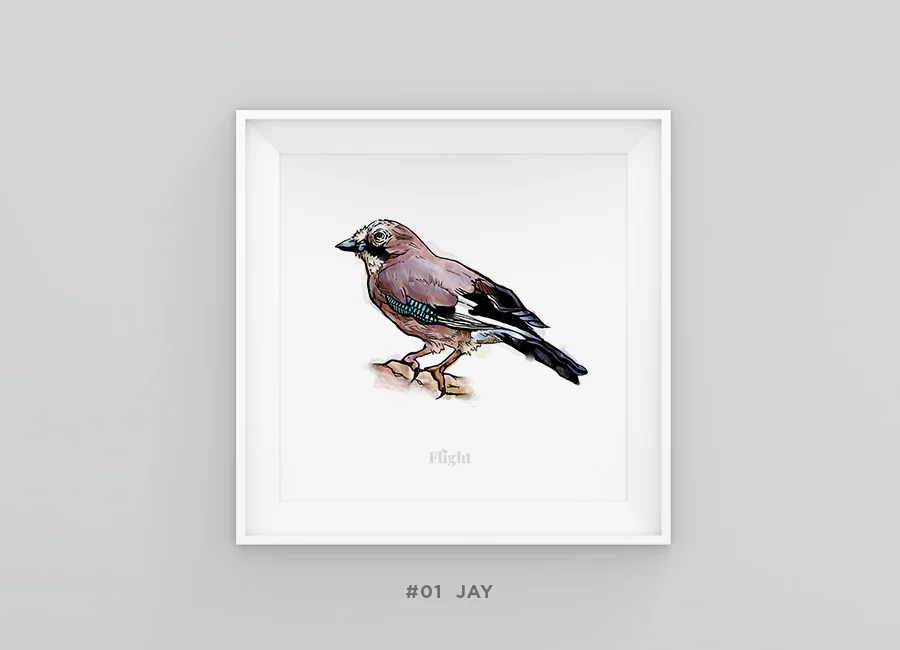 Jay_framed.jpg