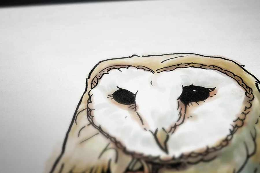 Owl_closeup2.jpg