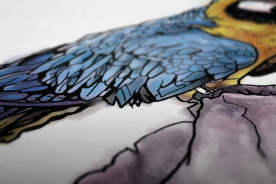Parrot_closeup1.jpg