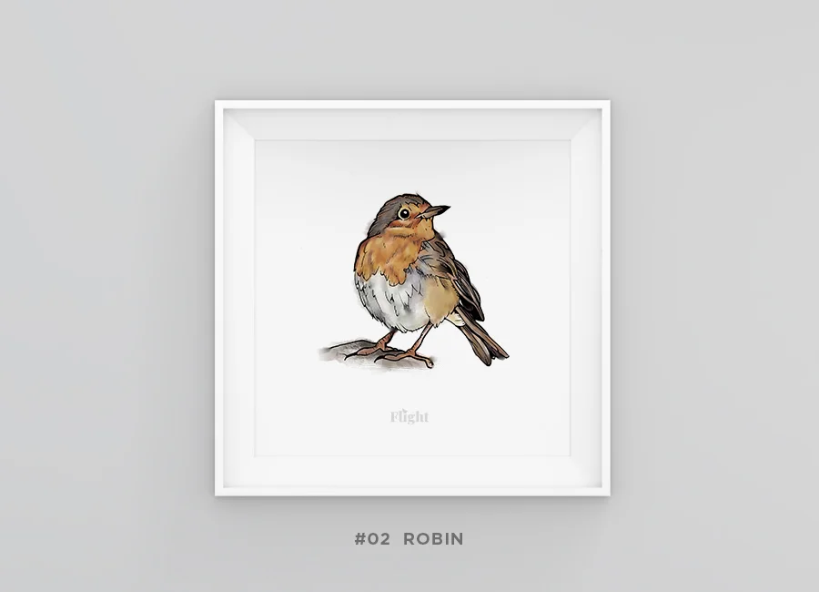 Robin_framed.jpg