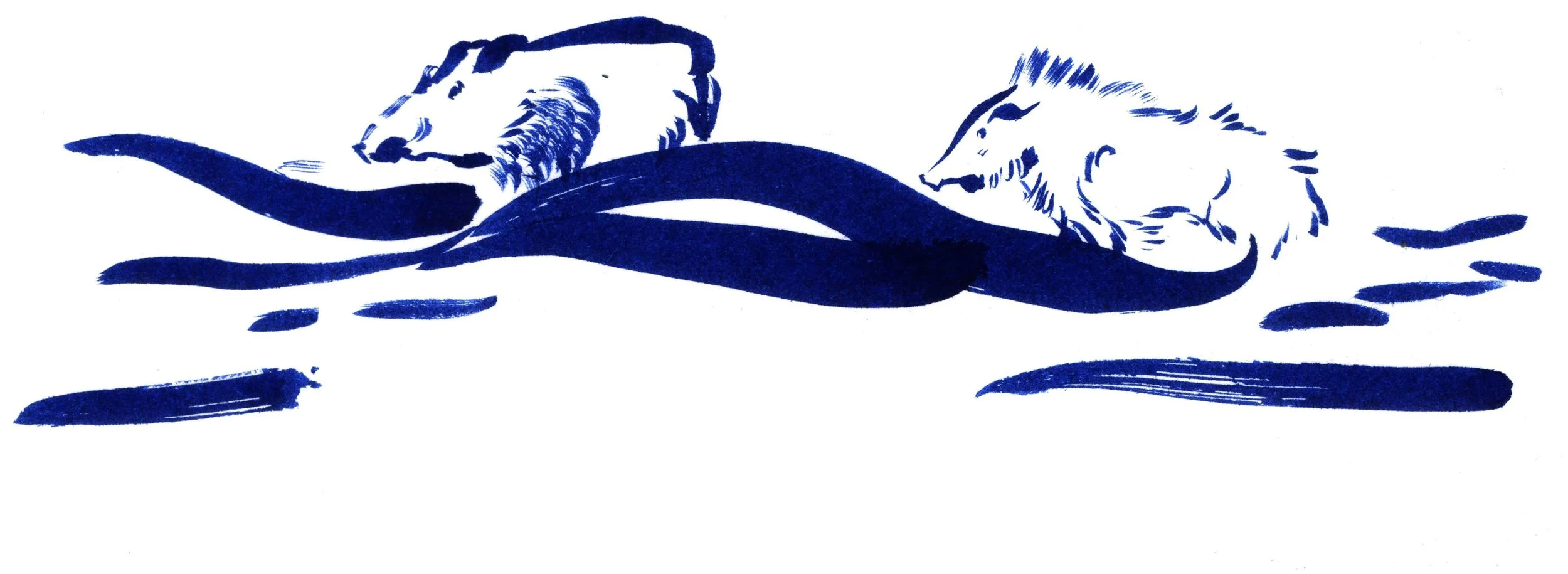 Wildboar.jpg