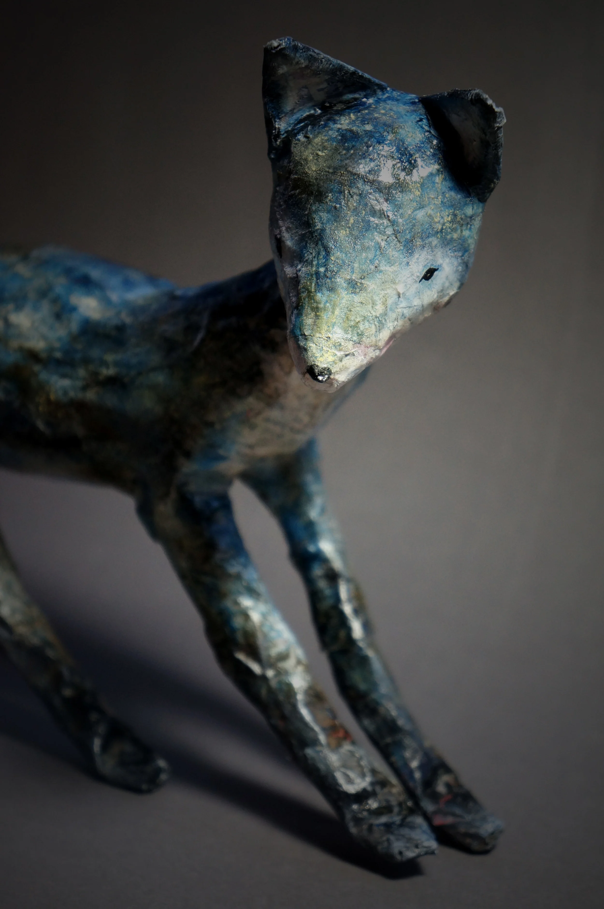 Bluefoxlegs.jpg
