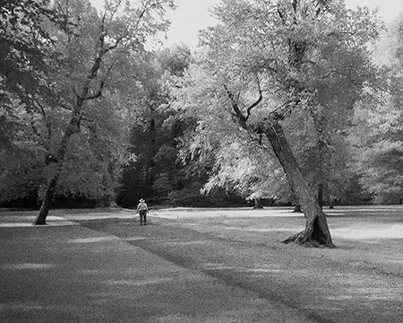 Man at Great Falls, McLean, Virginia