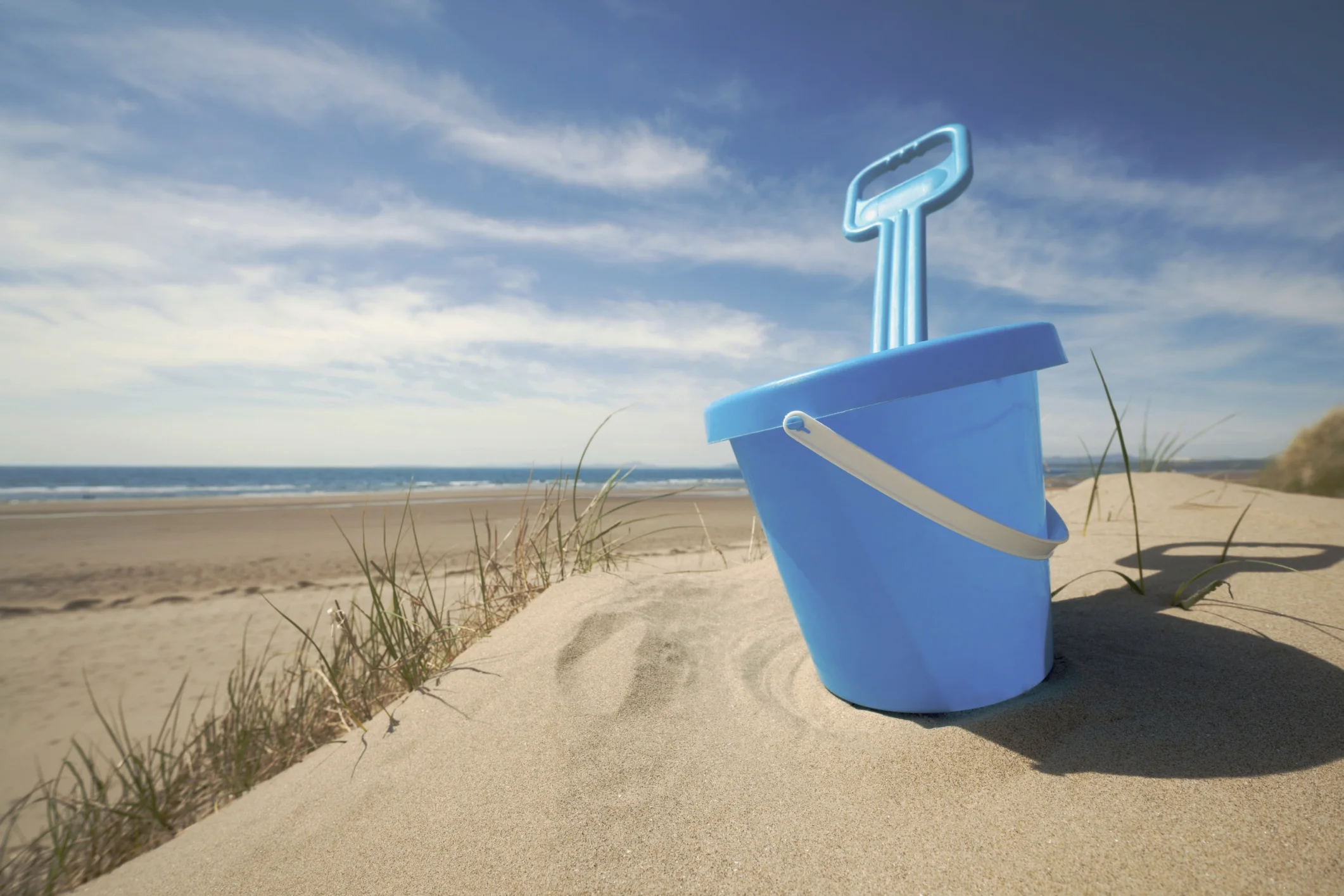 Cape Cod Toy Library