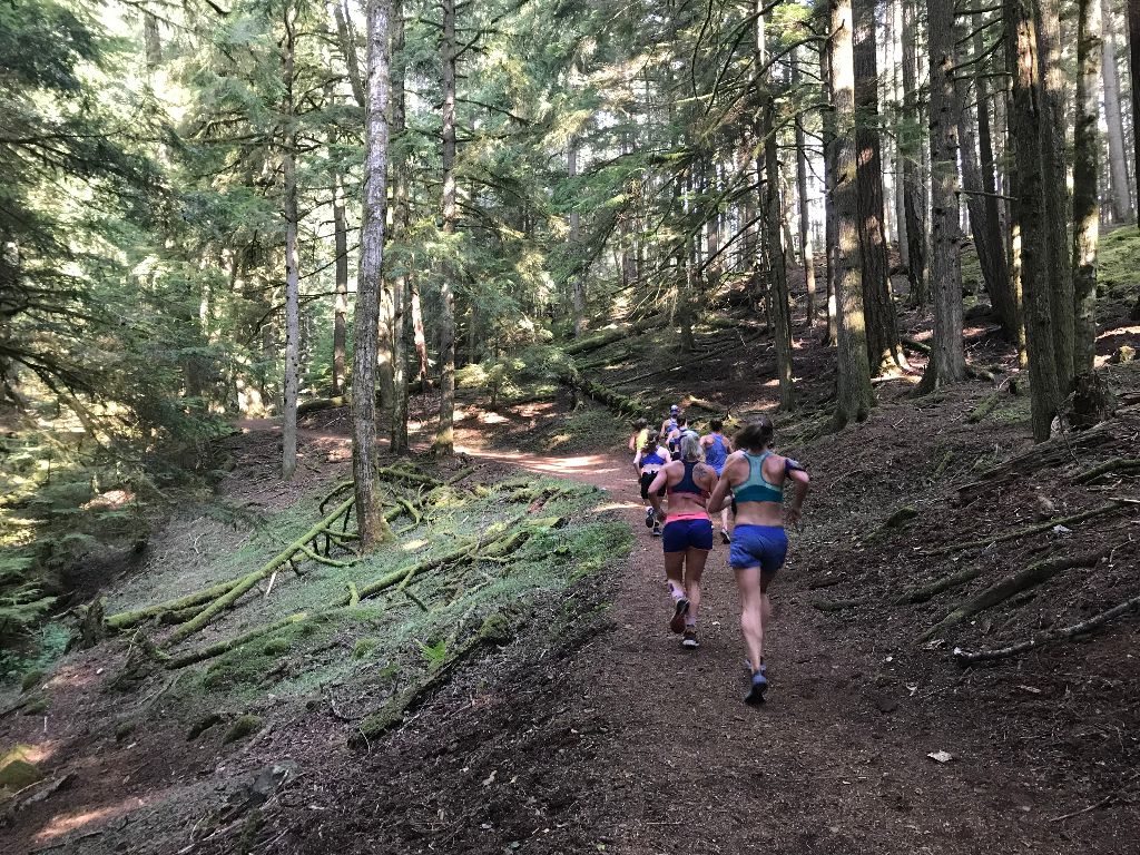 Trail Running in Moran State Park