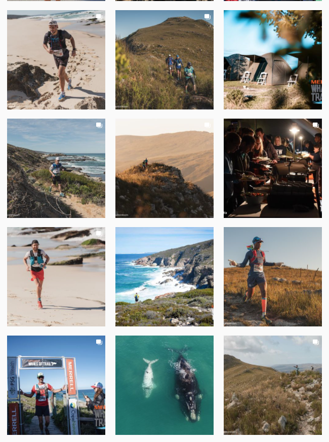 Whale of Trail Instagram Feed