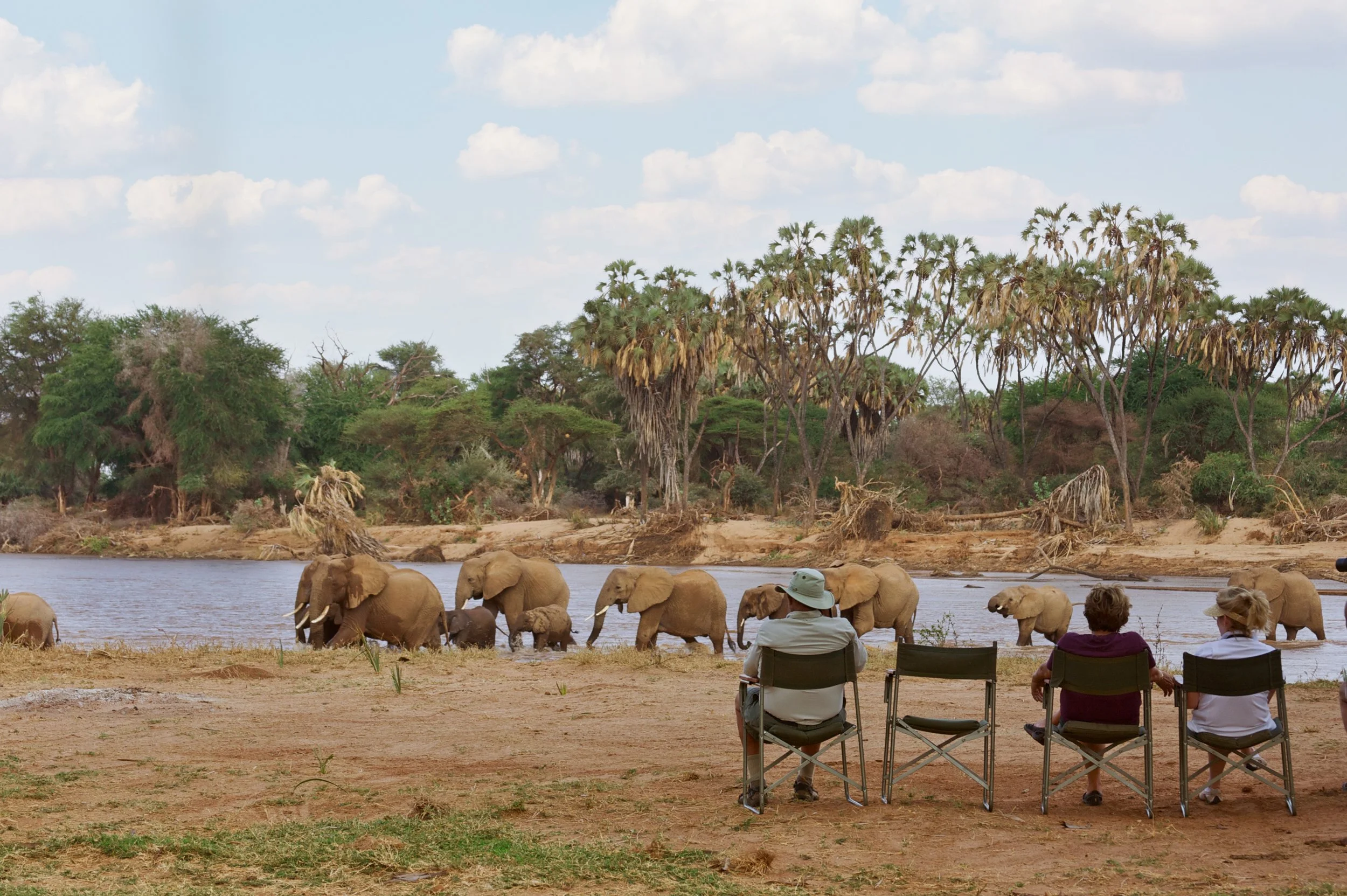 SararaWilderness_Jeremy_Elephants_02_web.jpg