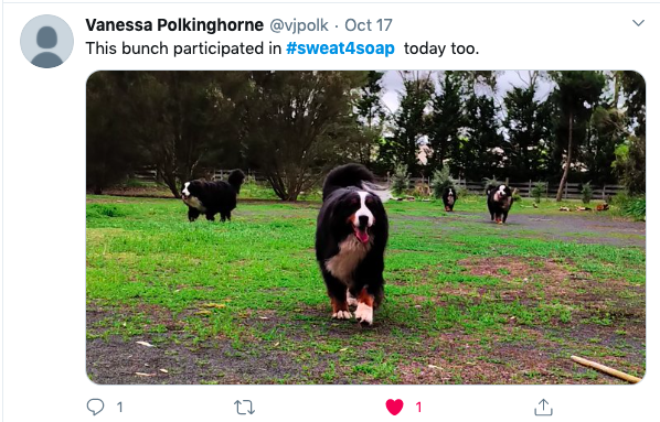 Twitter - Many many doggos joined in on the fun too.png