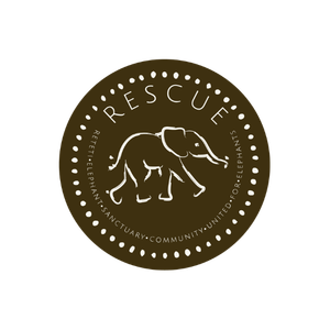 Reteti Logo.png