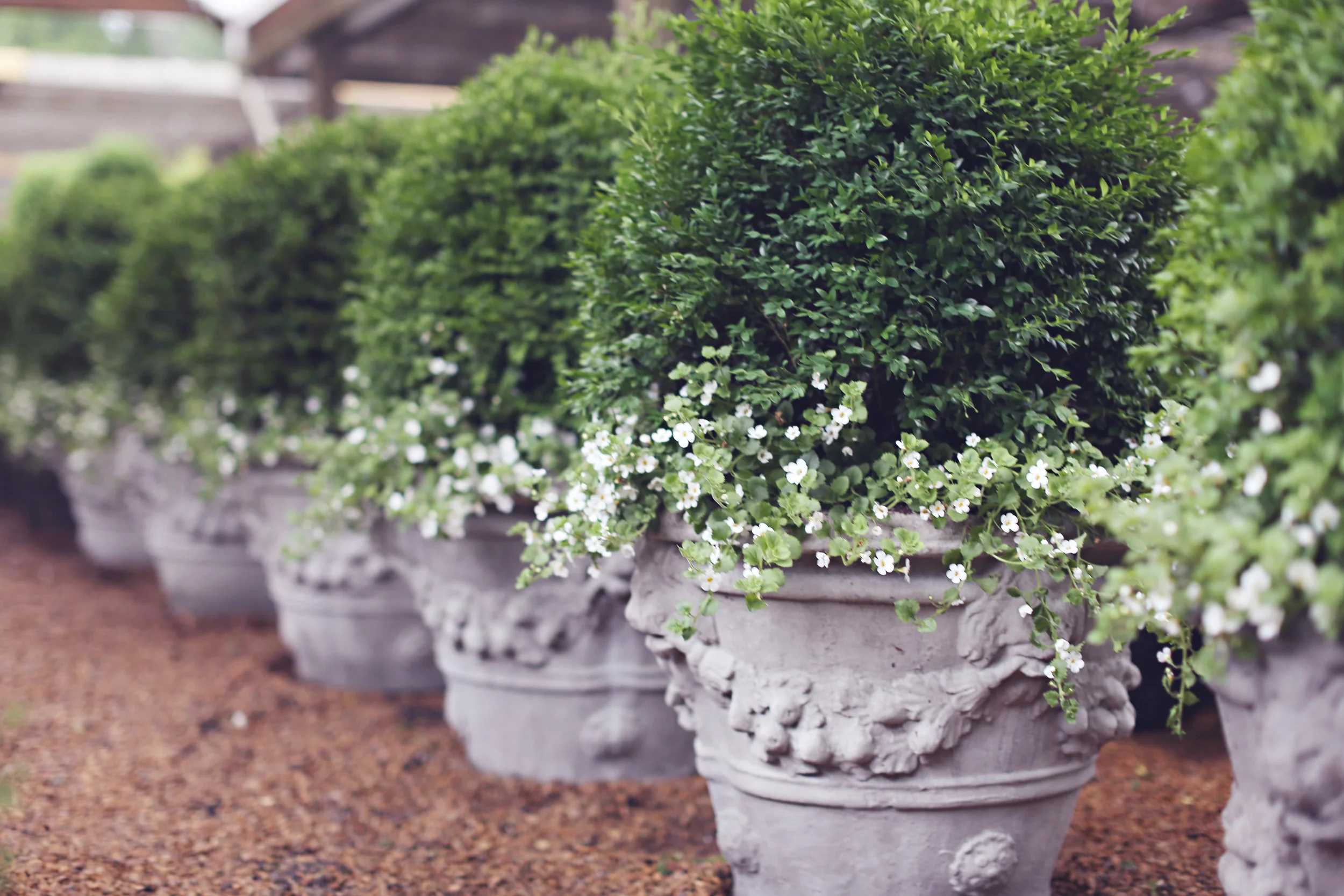 IvySpring2013_088.jpg