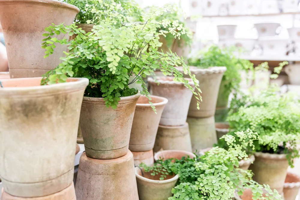 fallen pot planter VIETRI Verde Garden Oval Planter main image 0