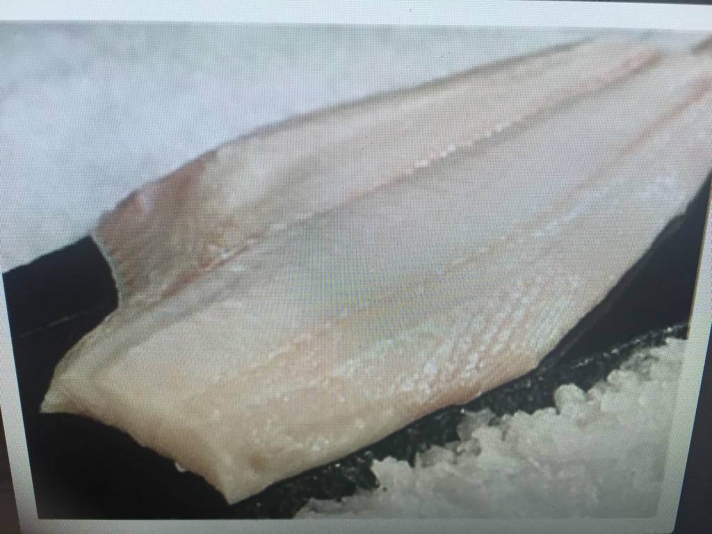 Halibut Fillet.jpg