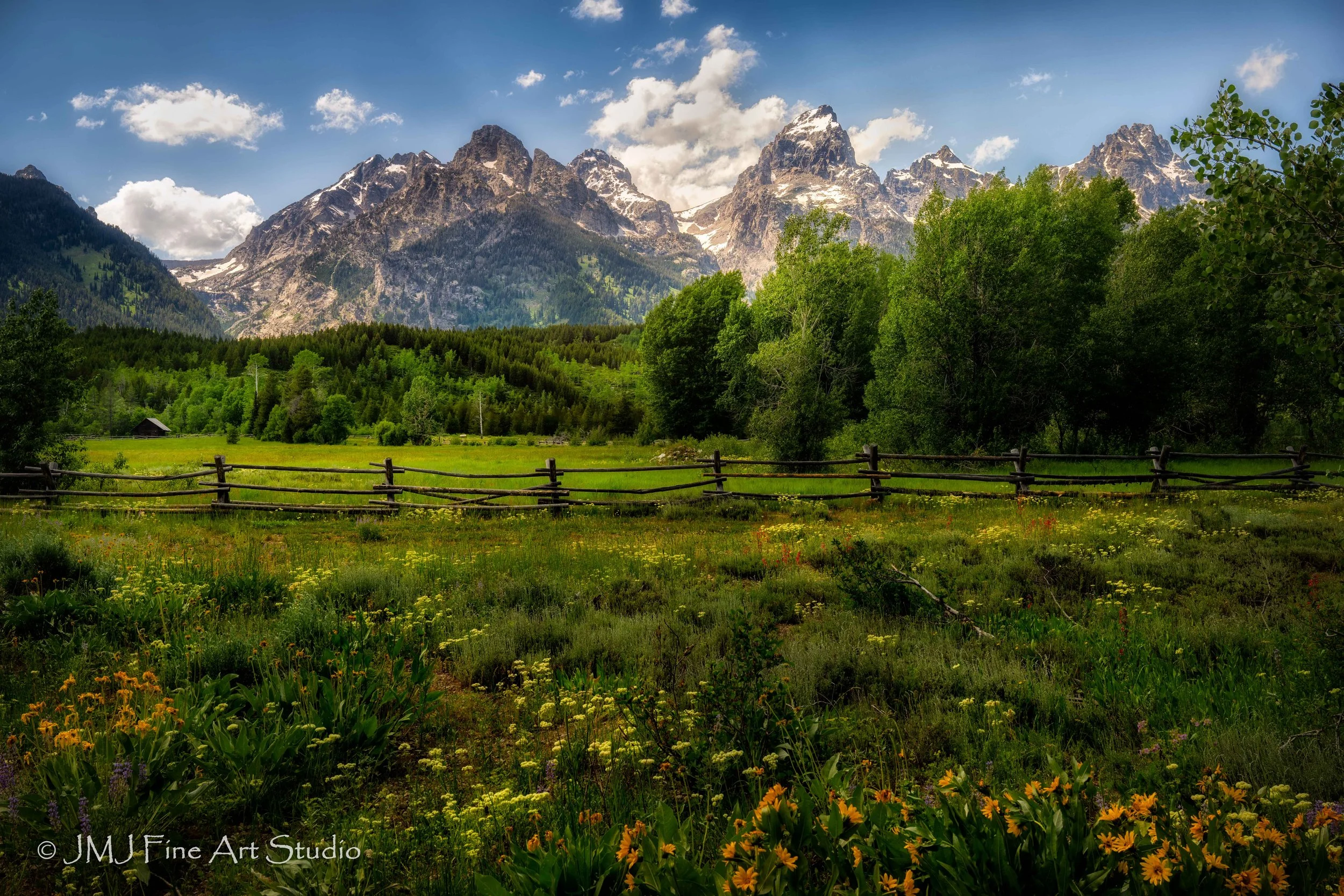 The Meadow in the Grand Teton 2025