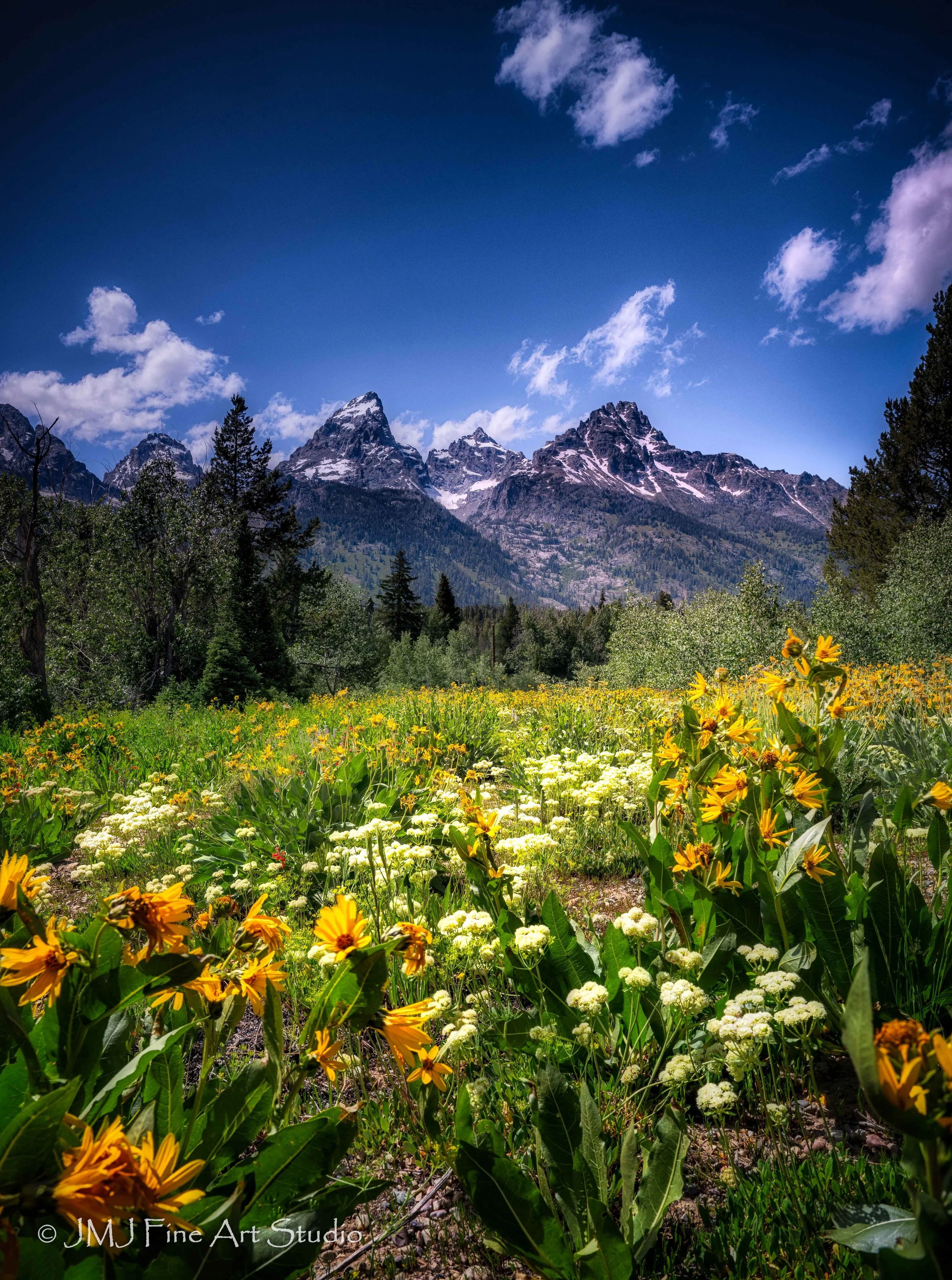 June in the Grand Teton 2025