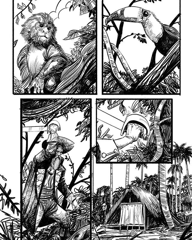 More pirate book. 
#comics #nature #monkeys #toucan #pirates