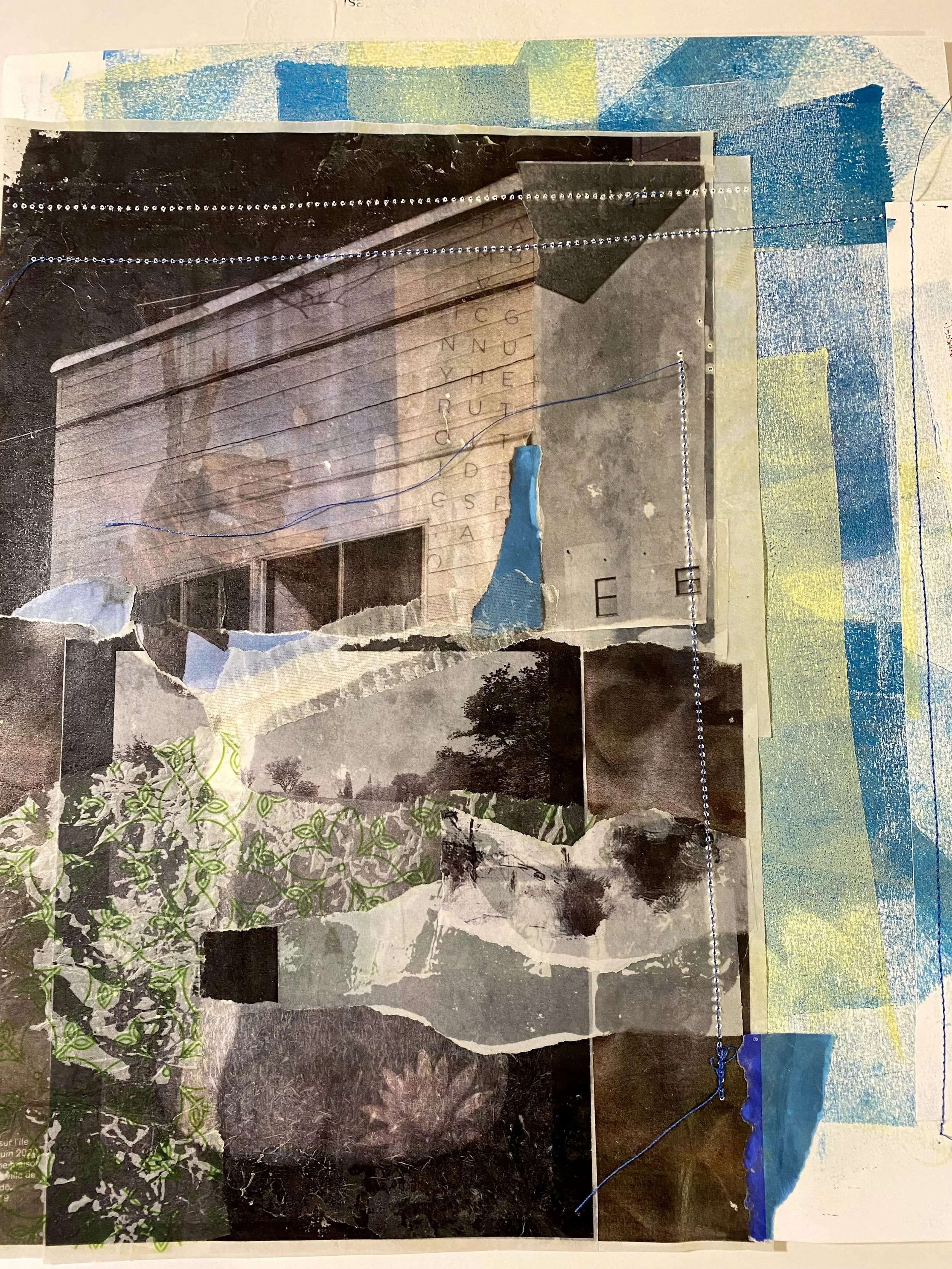 The House