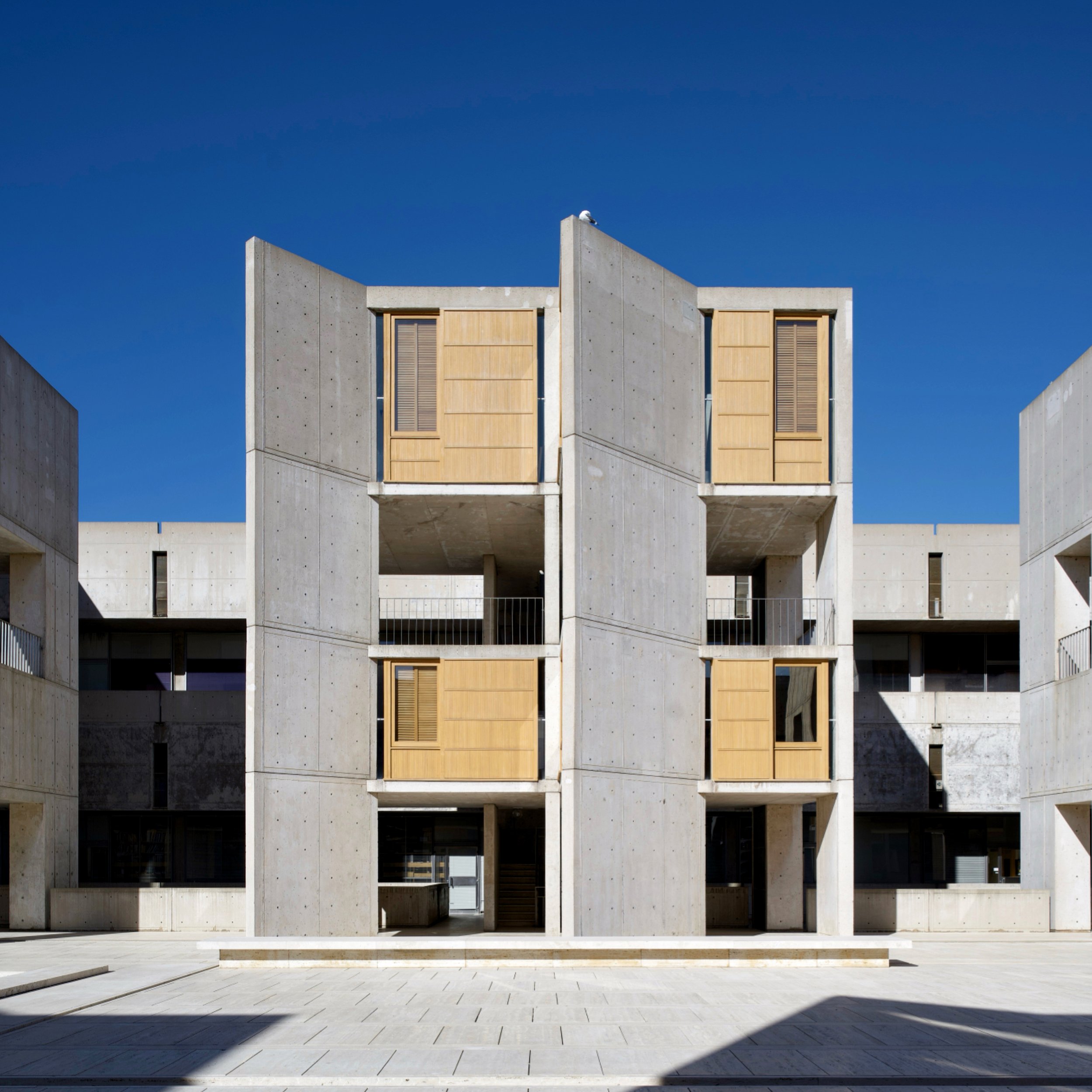 The Salk Institute