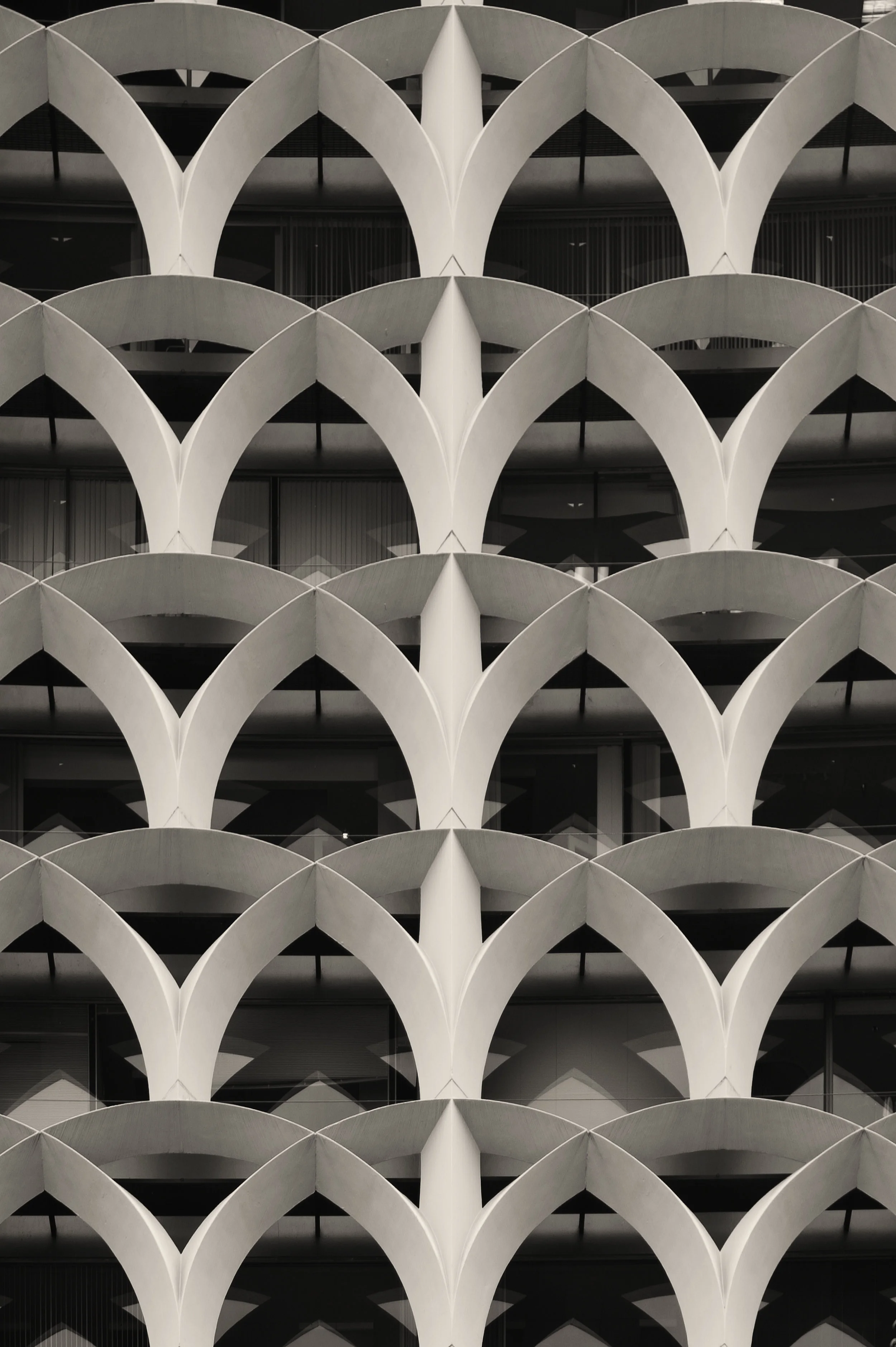 White Arcs