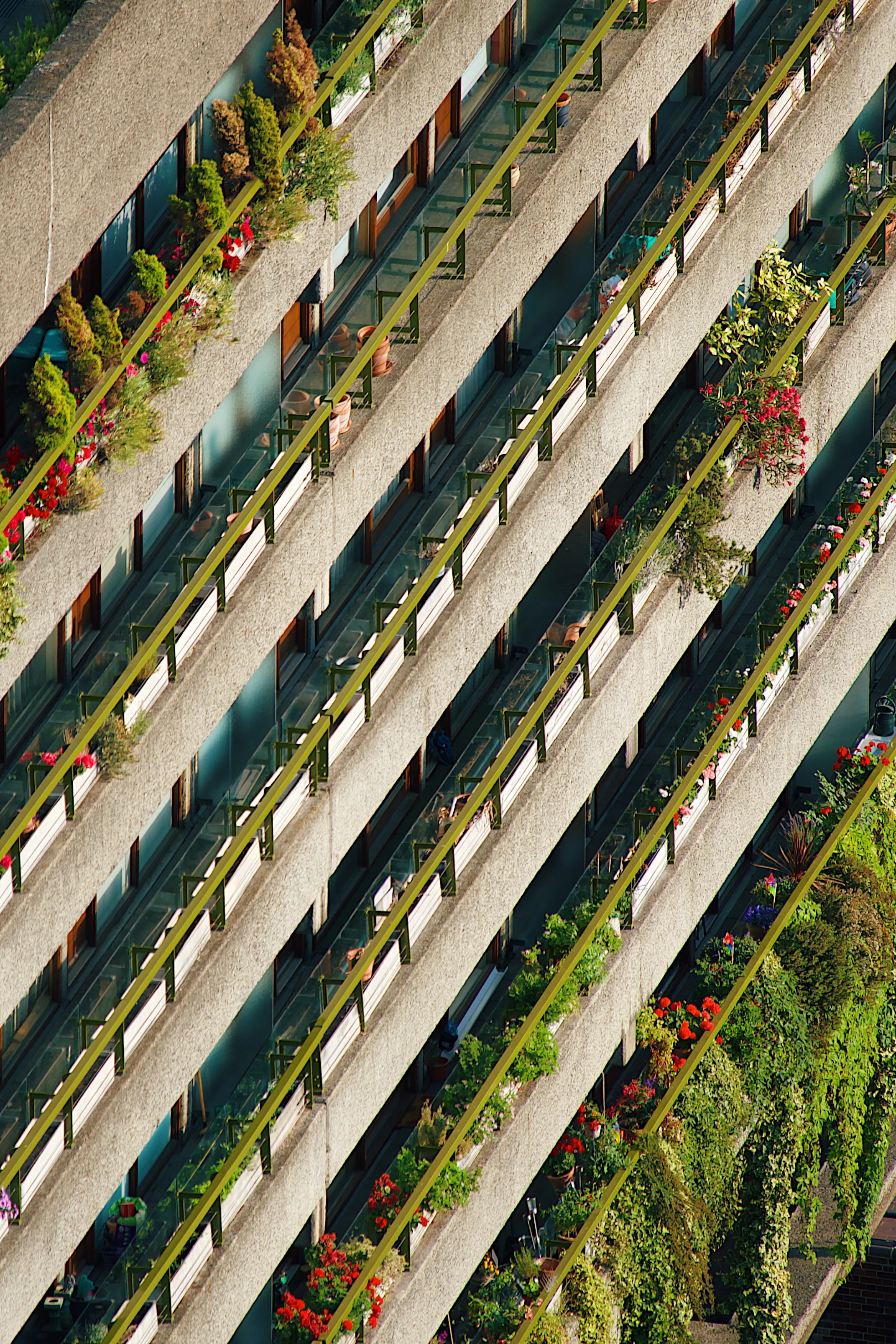 Hanging Gardens.