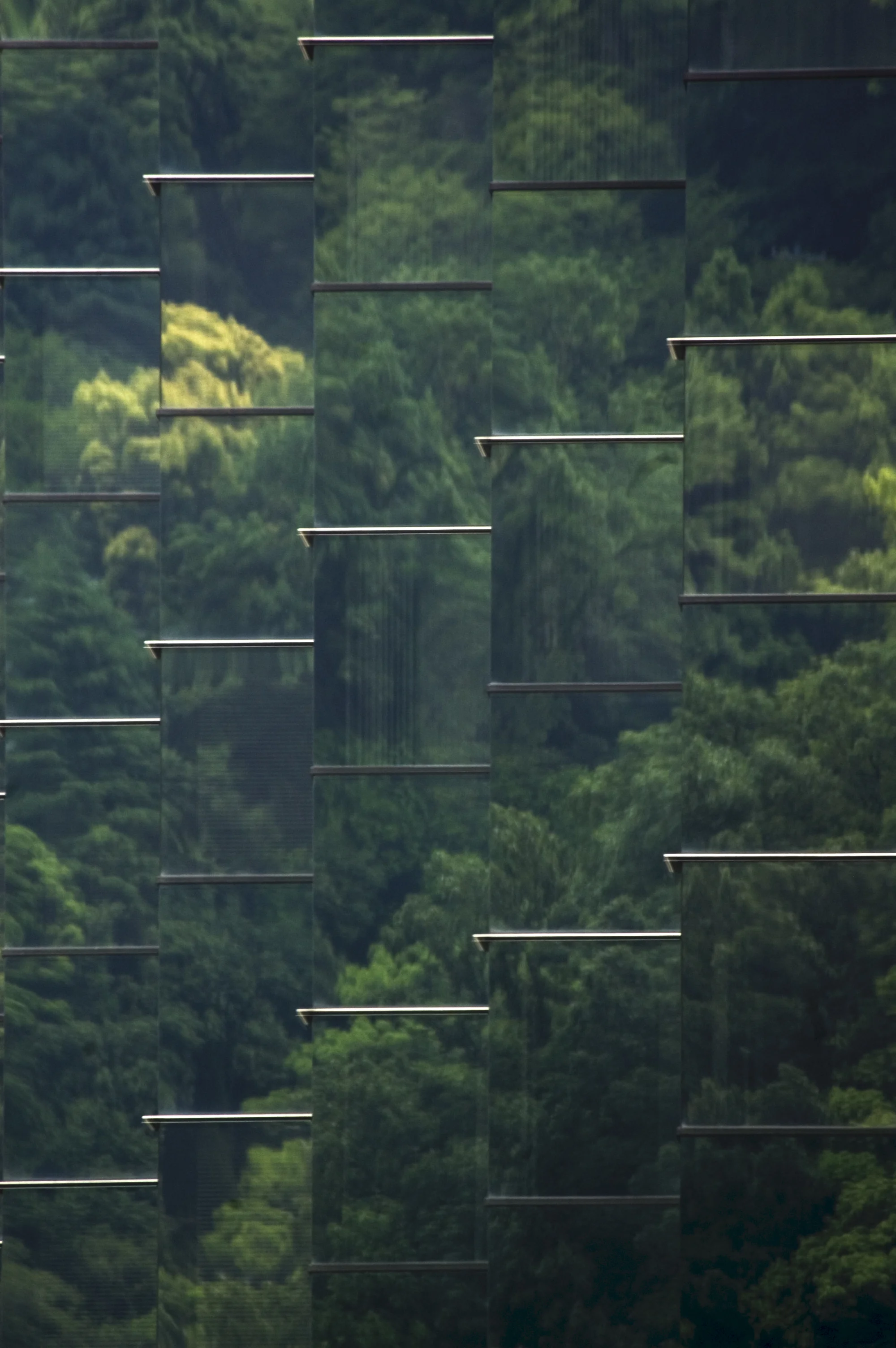 Glass Forest.
