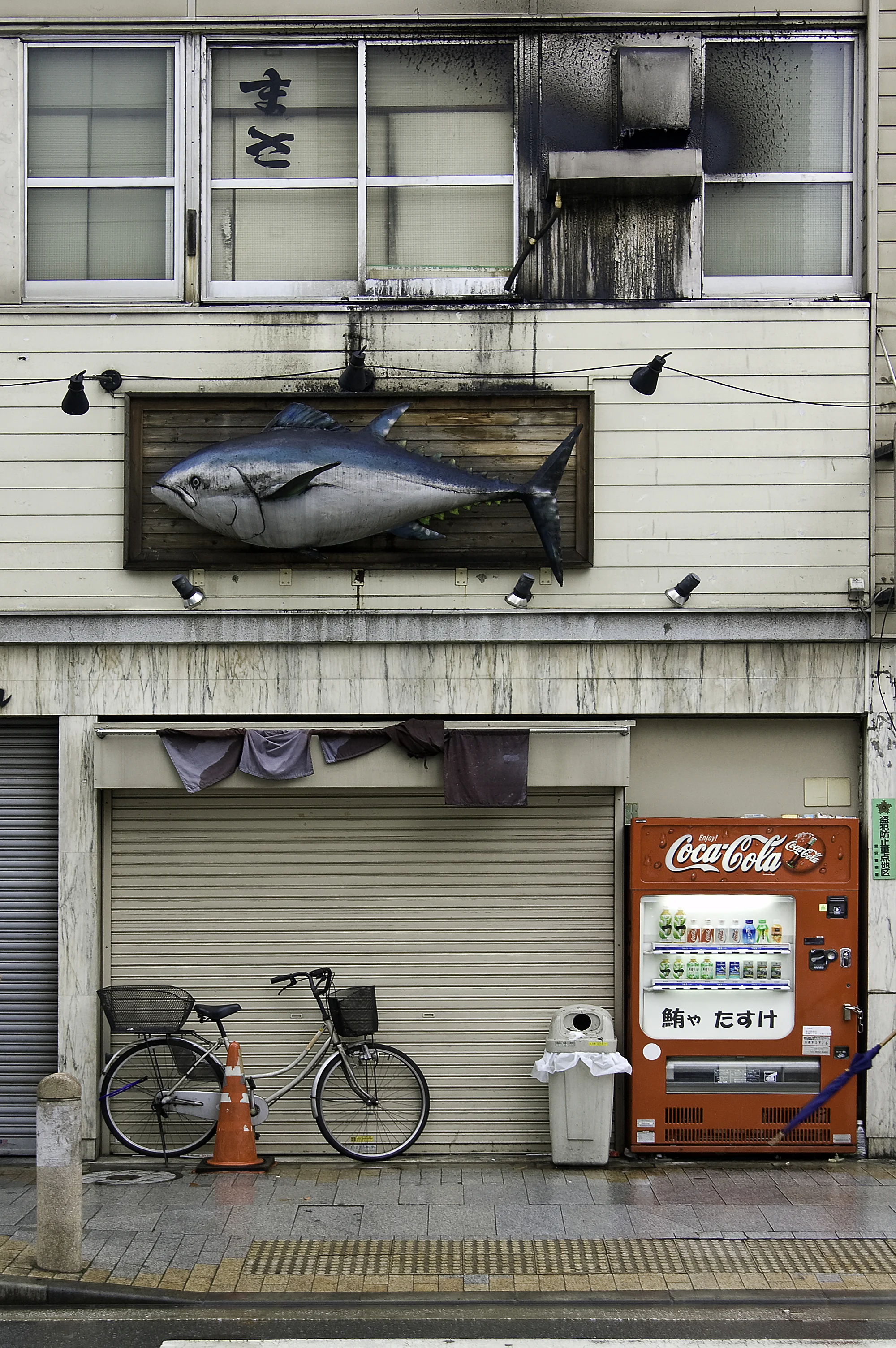 Big Blue Fish.