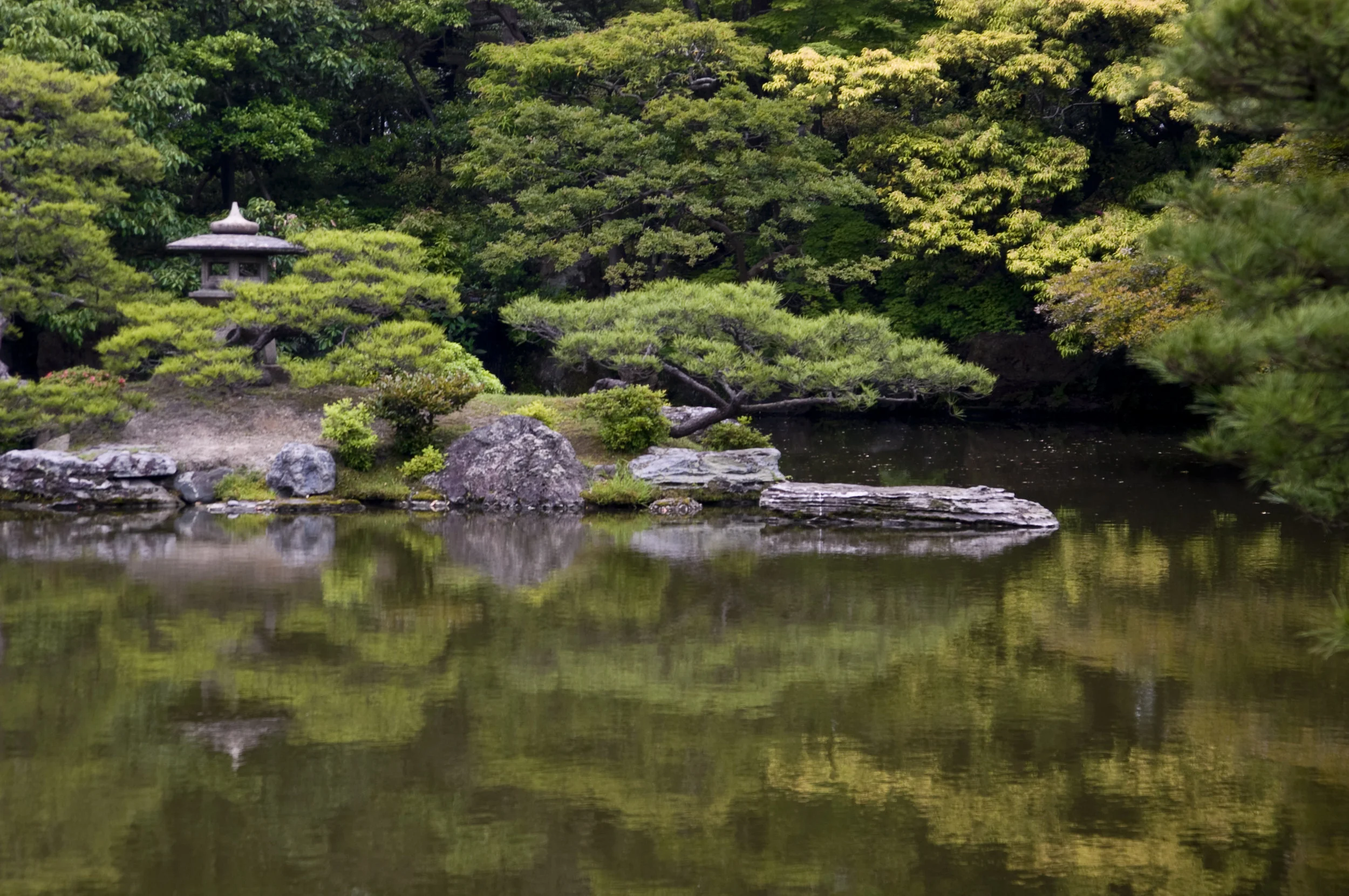 Tea Garden
