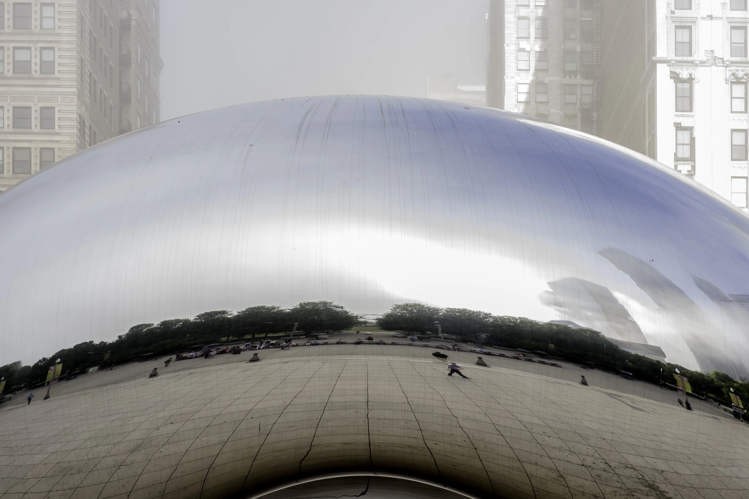 bean.jpg