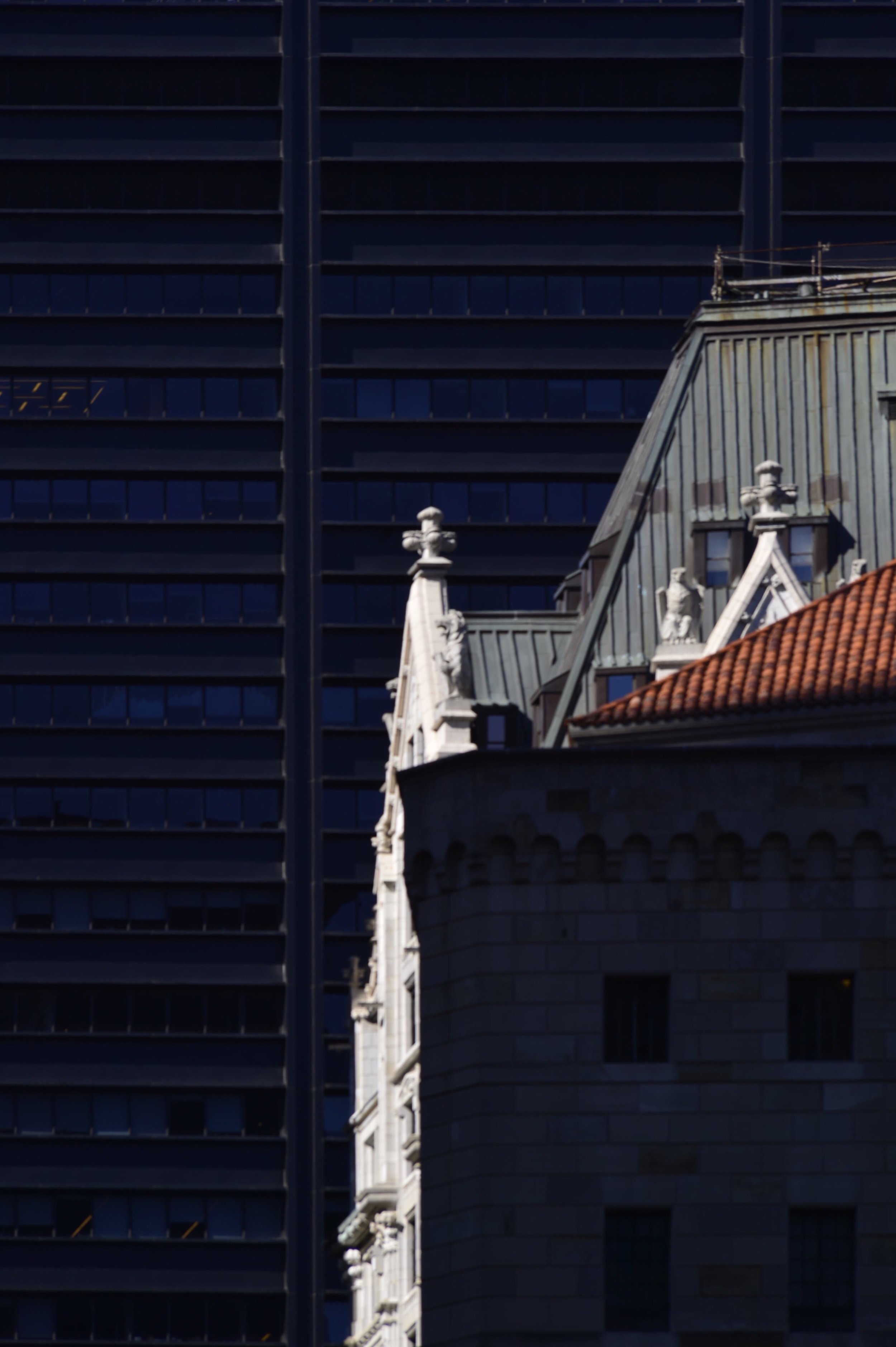 _DSC0933.jpeg