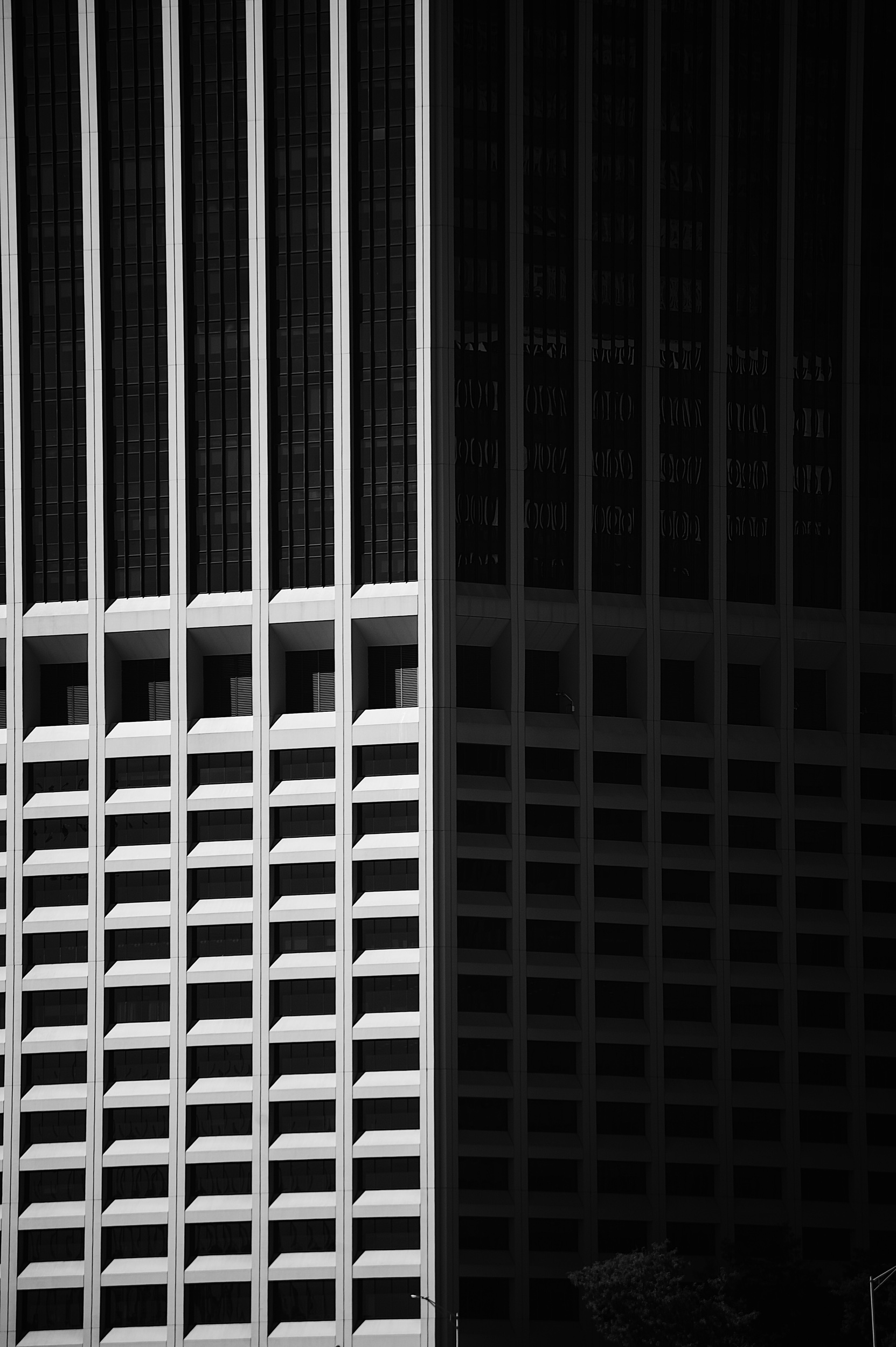 77D6A065-95FD-455B-94DE-54F18460E271.jpeg