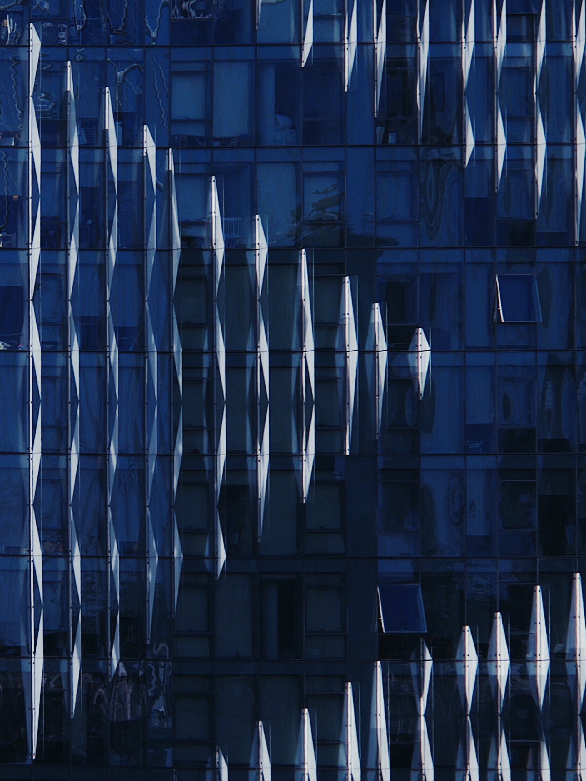 B1A058C5-B813-4B05-A070-FD70A0D58171.jpeg