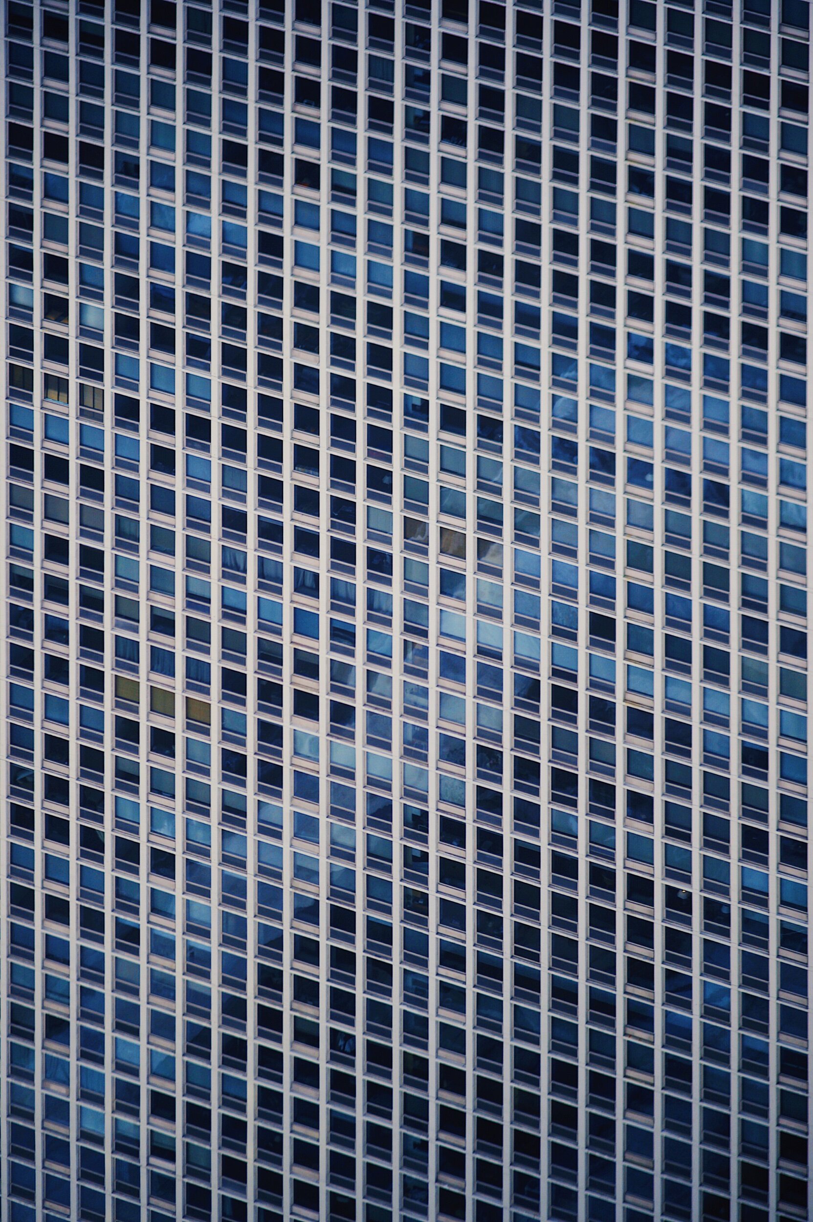 Infinite Grid