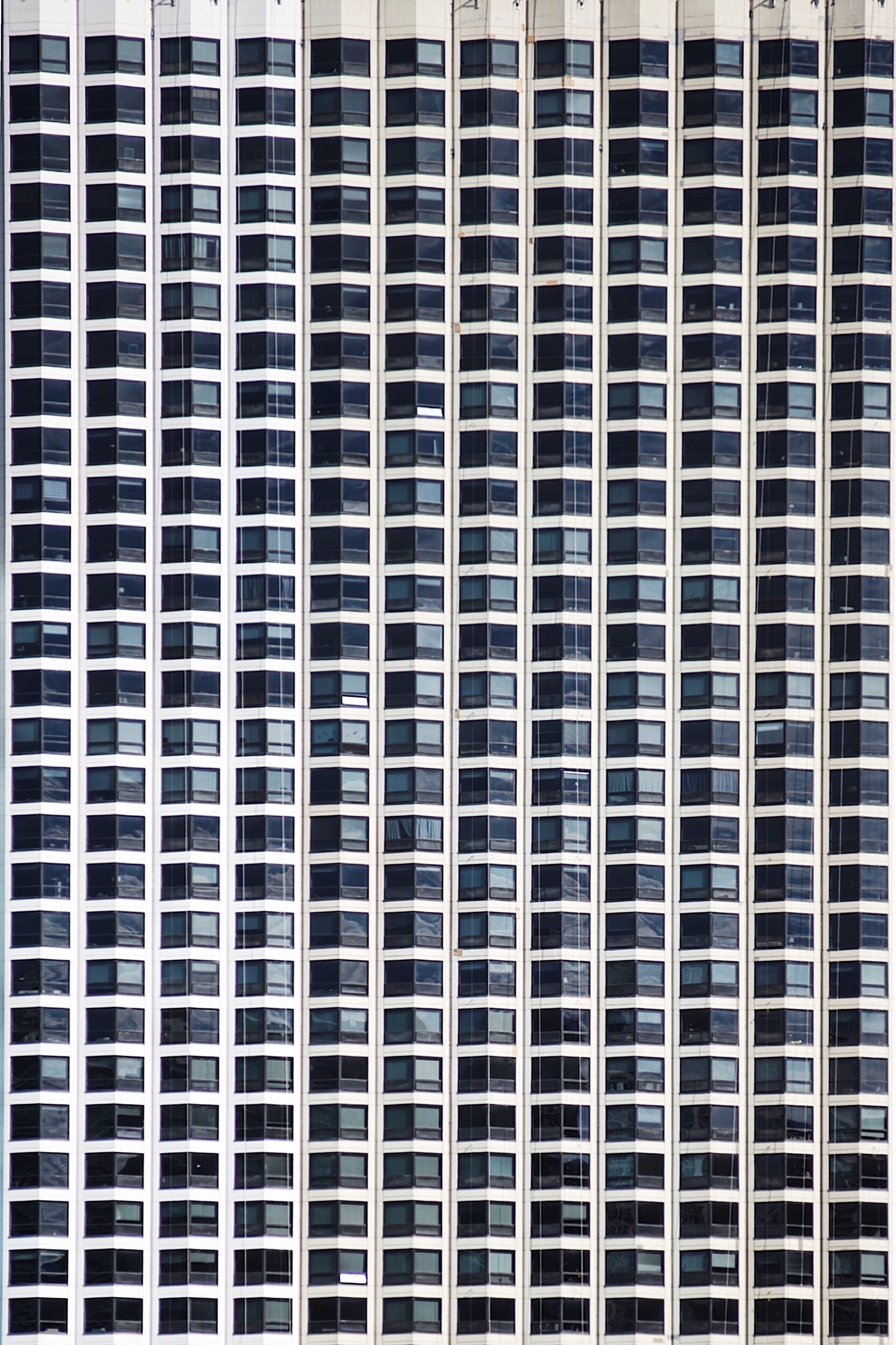 Window Grid