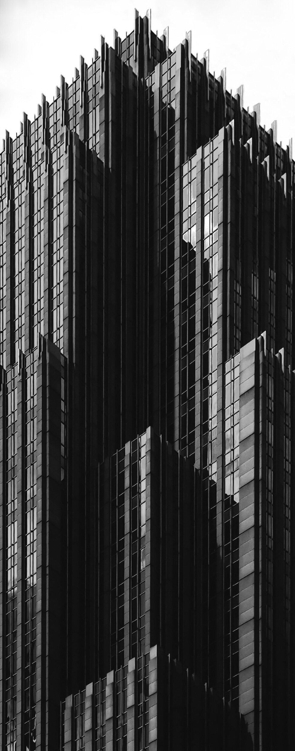 E86E61D1-DE98-46C6-ABCB-F70584D79C19.jpeg