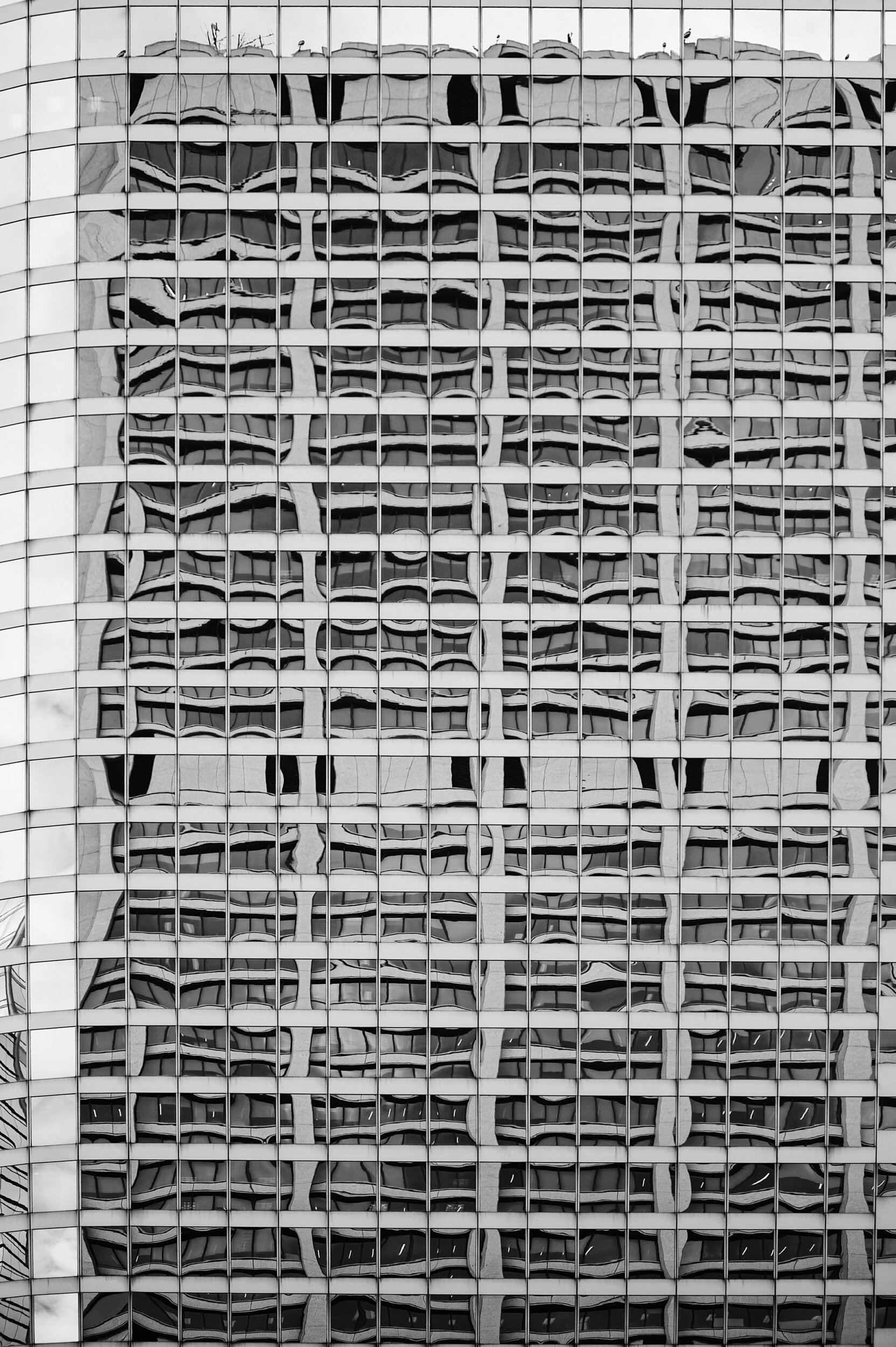ED5EBDA8-3B6E-4481-8F95-556AD3778360.jpeg
