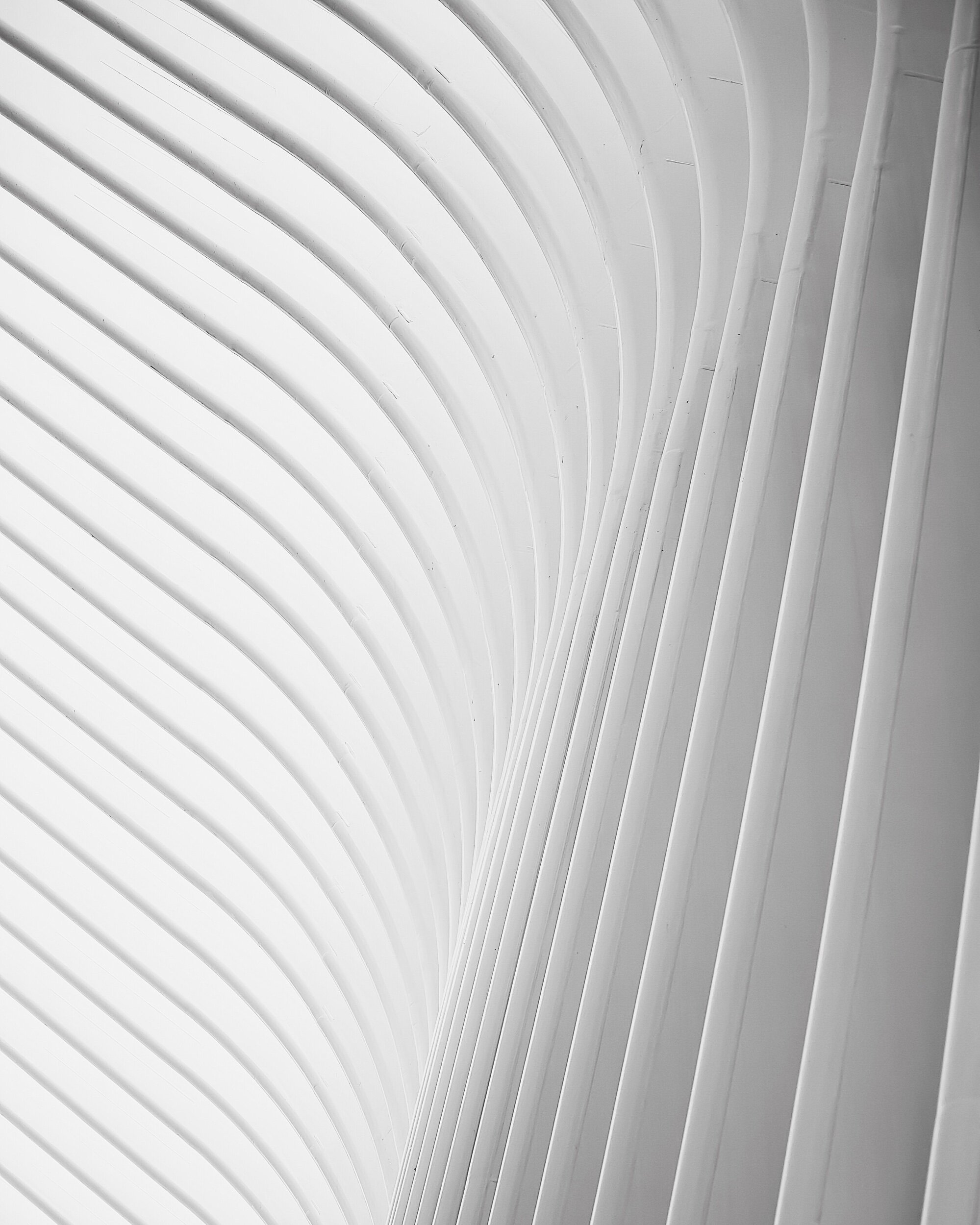 Oculus Detail