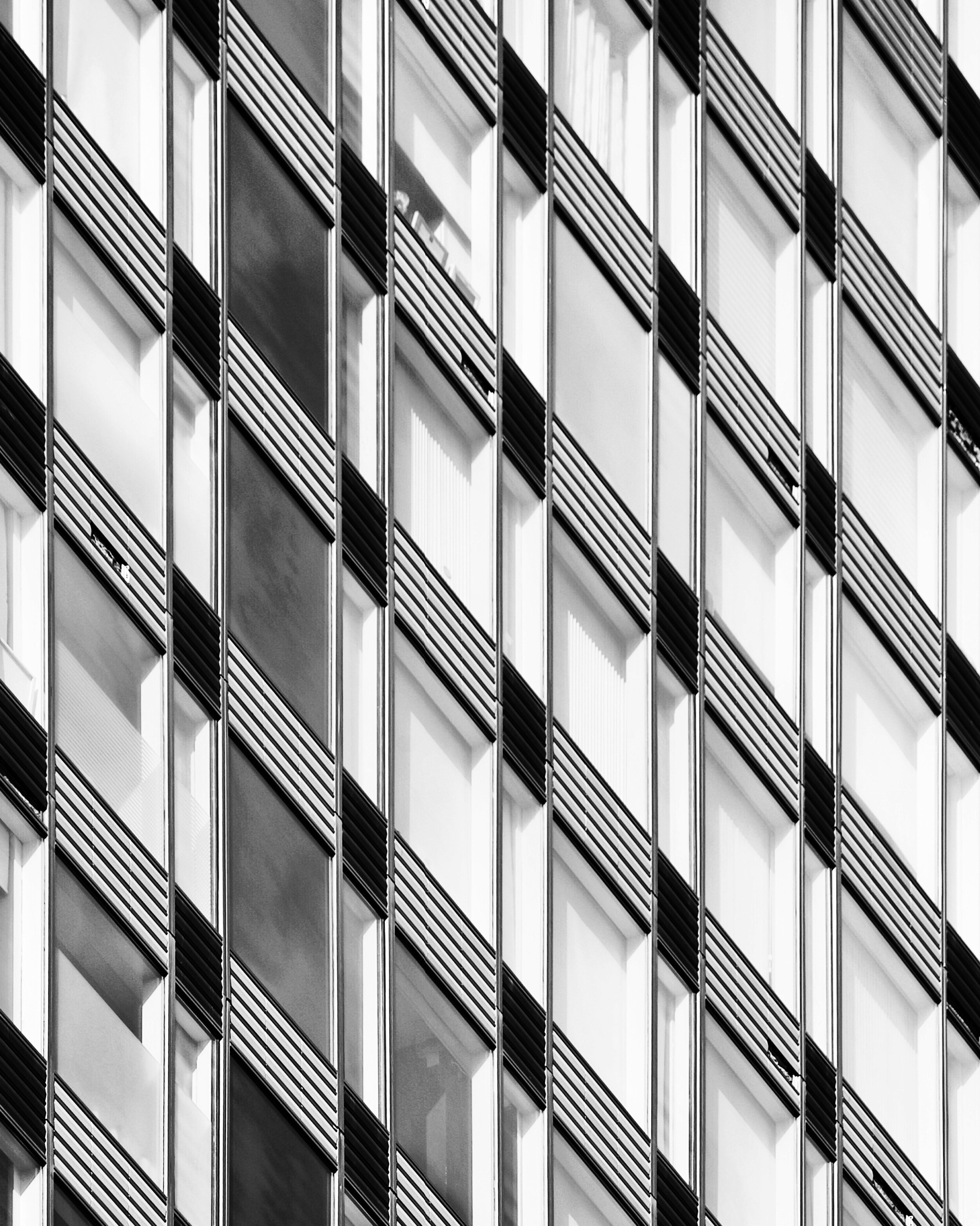 460C152A-3966-4341-93B2-9C397D4A6A95.jpeg