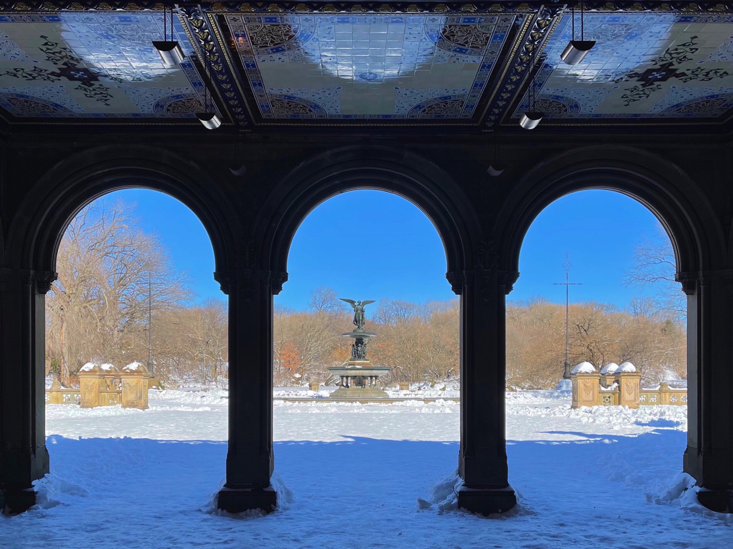 Winter in Central Park