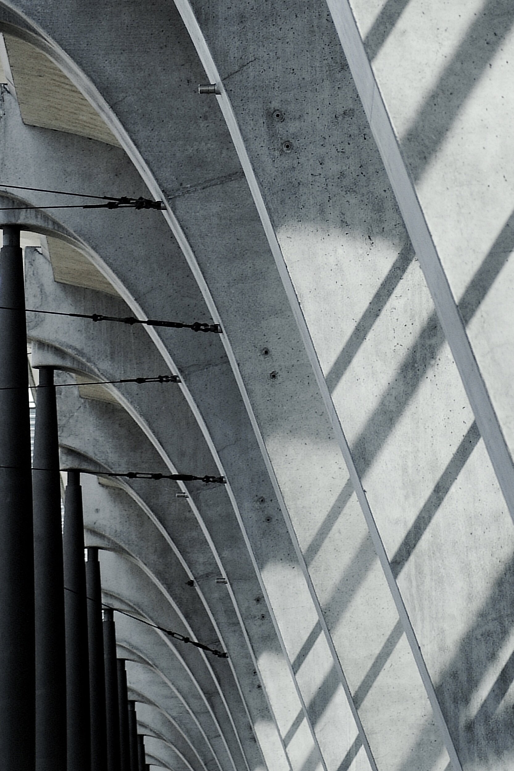 Shade and Shadow