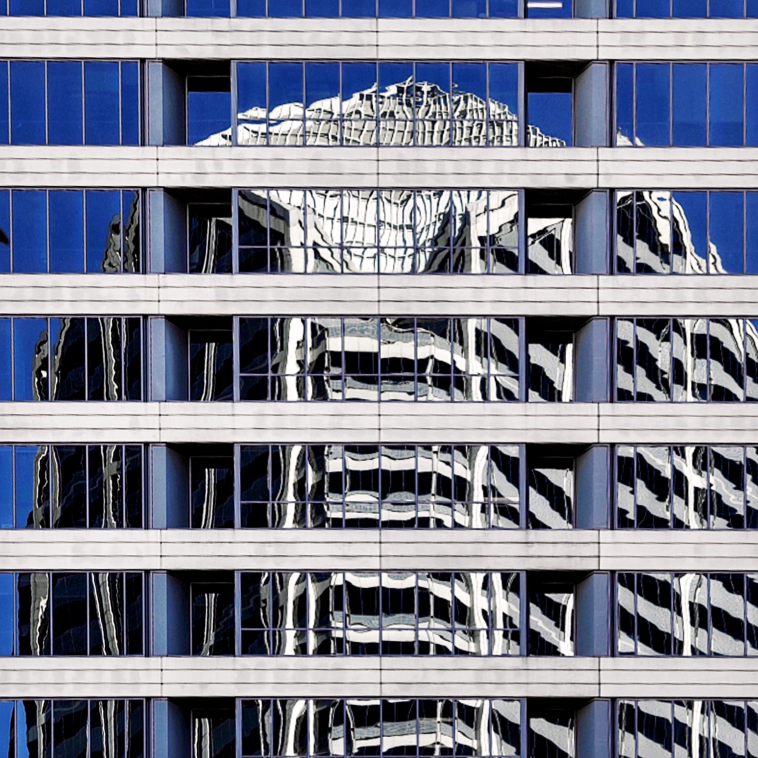 Blue and White Grid
