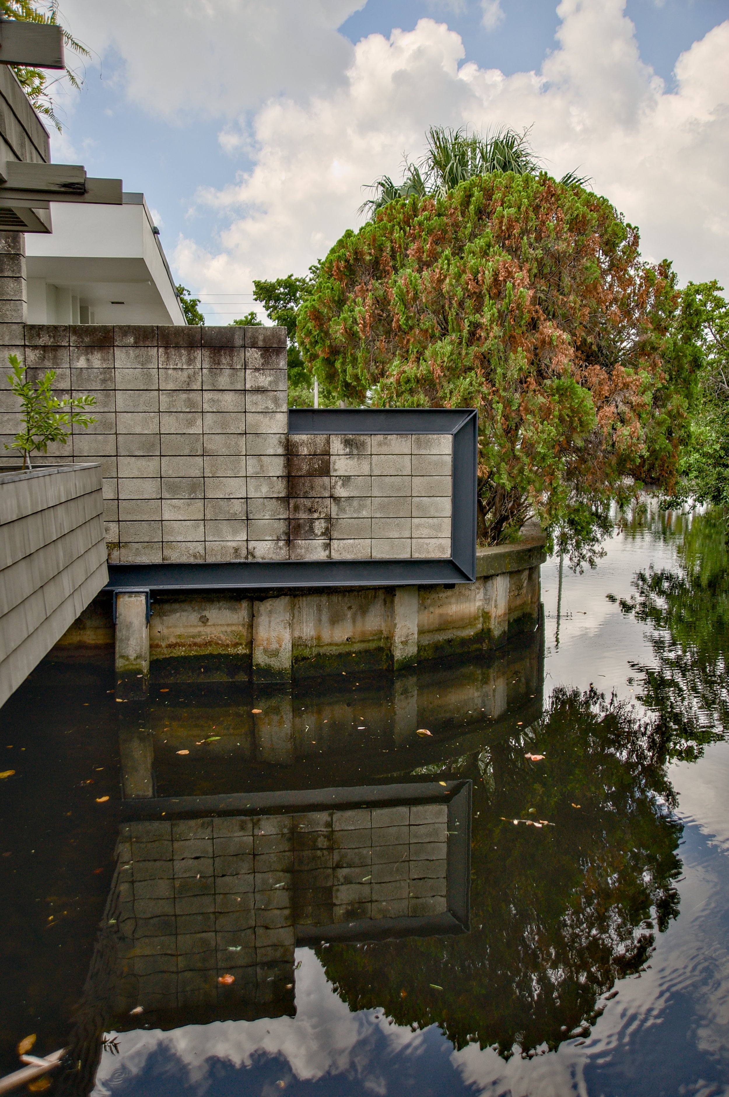 MIDCENTURY REFLECTED.jpg