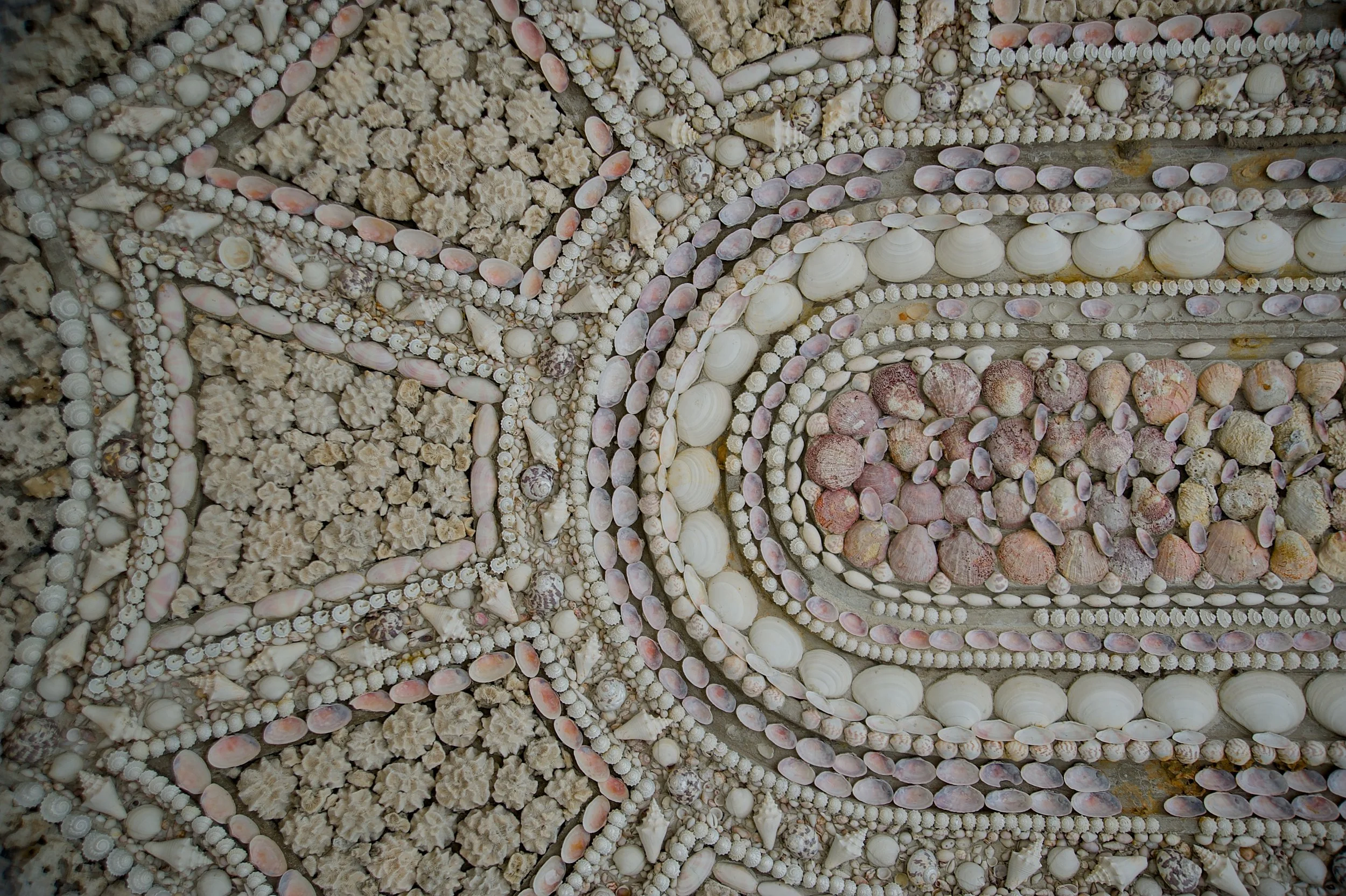 VIZCAYA SHELLS.jpg