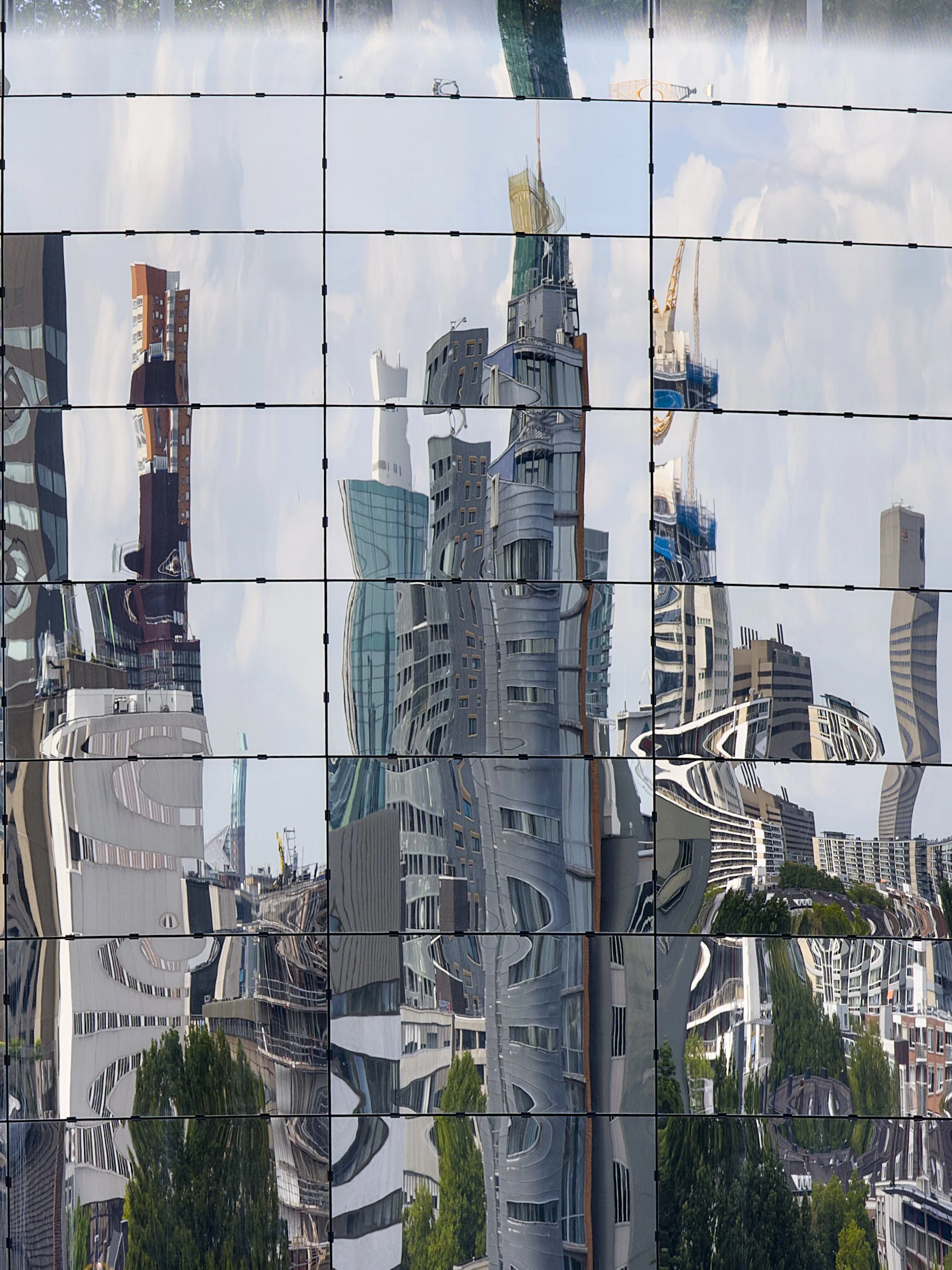 ROTTERDAM REFLECTIONS.jpg