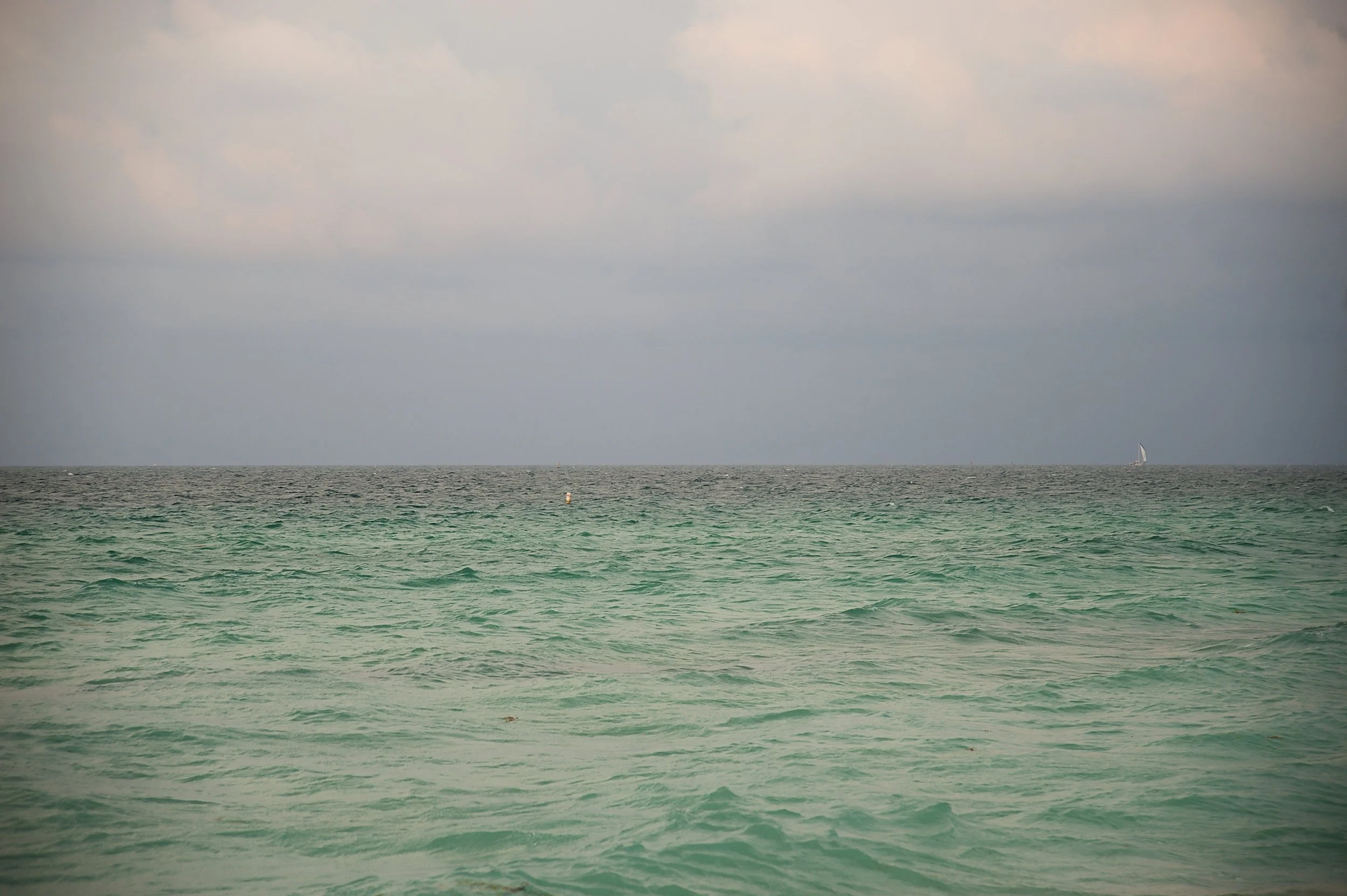 MIAMI GREEN SEA.jpg